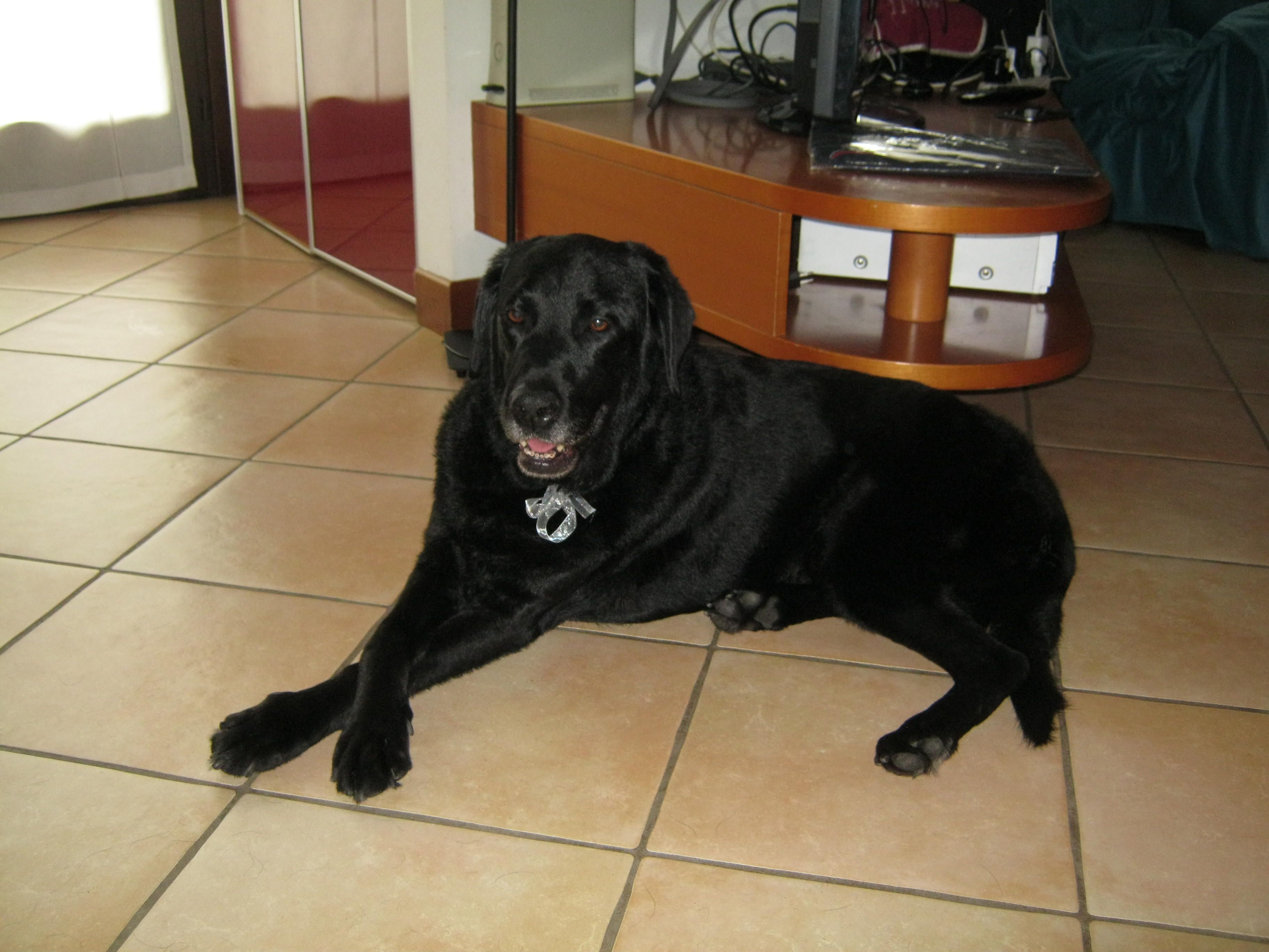 image-9