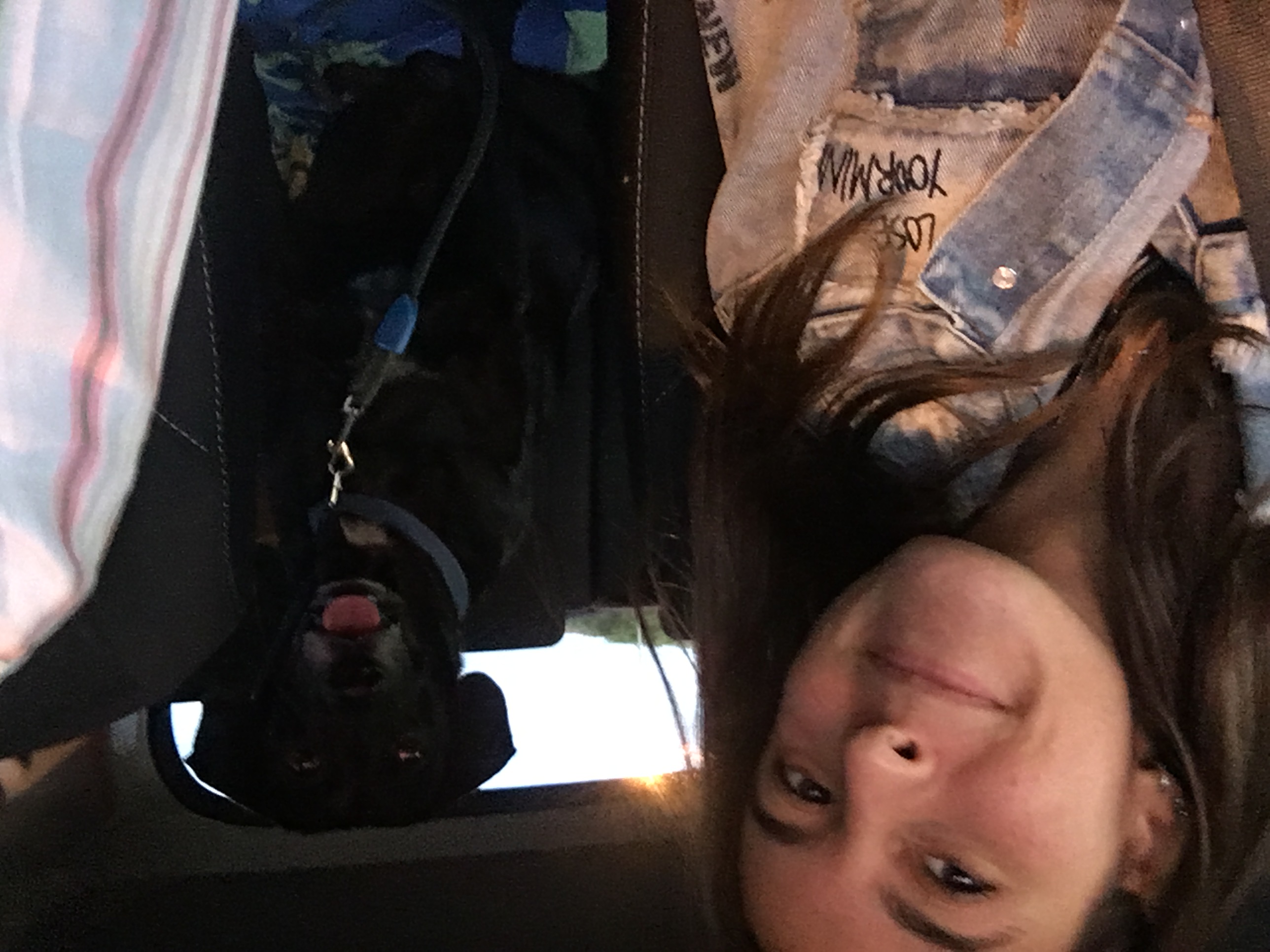 image-9
