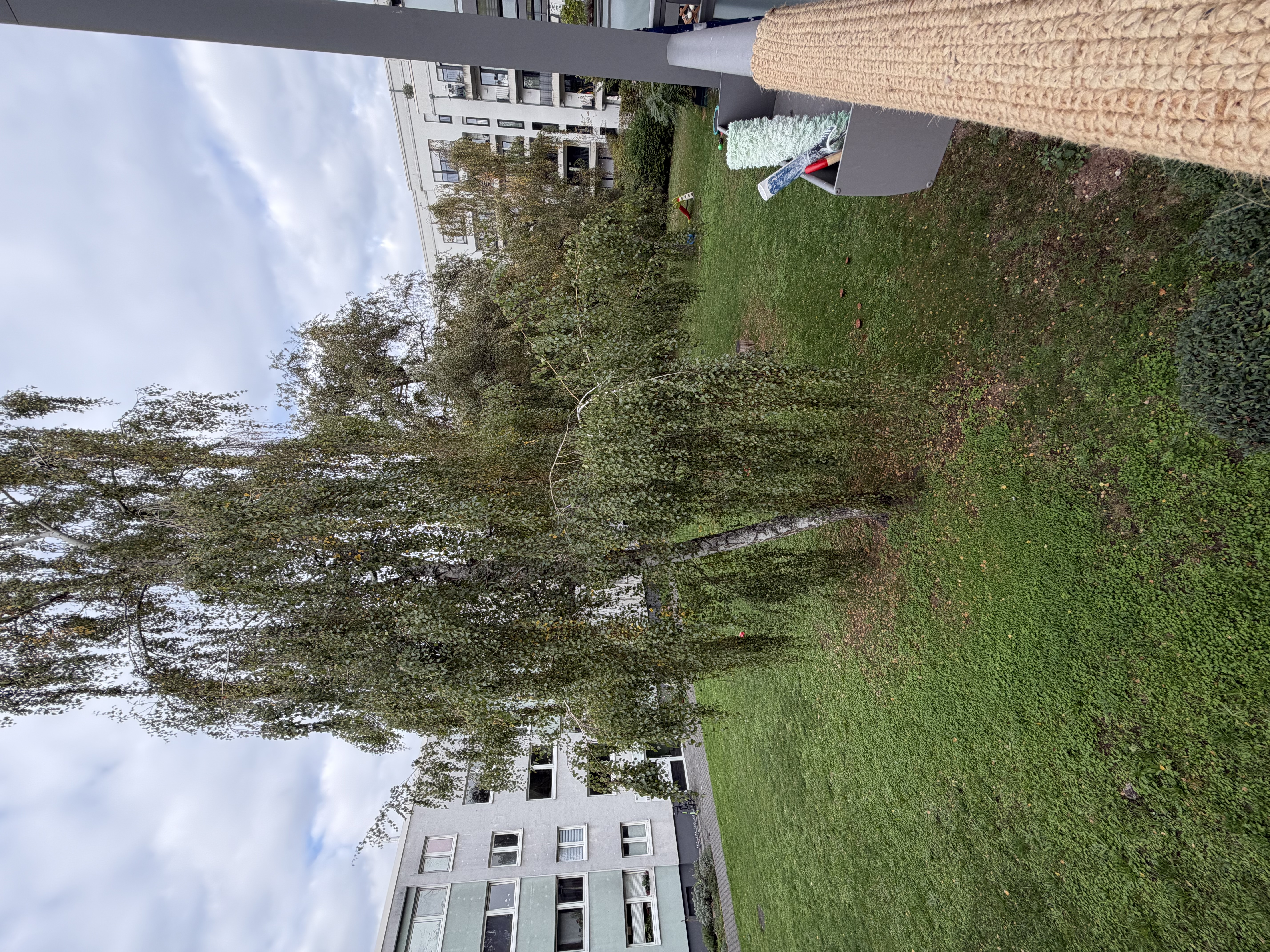 image-21