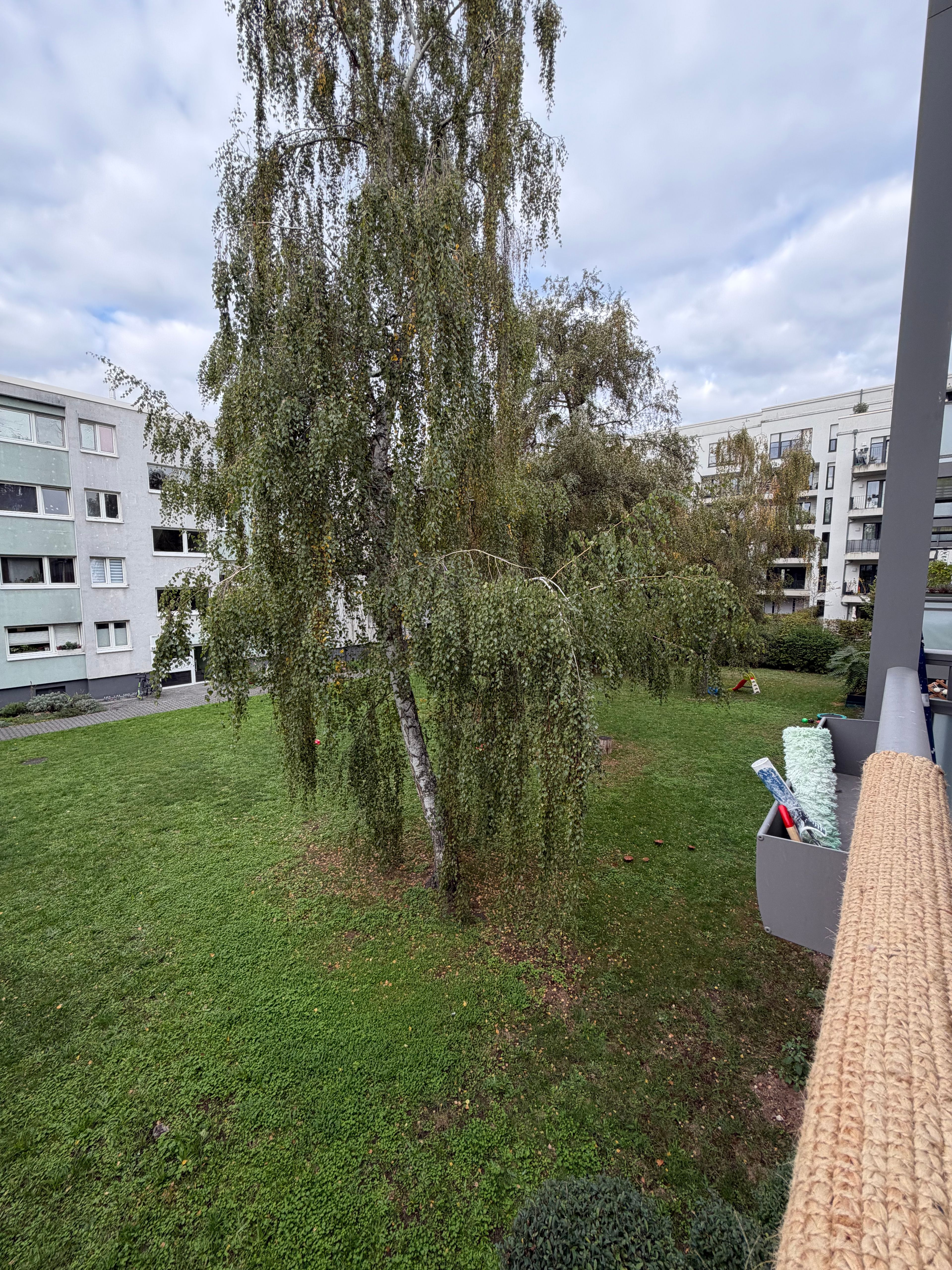 image-21