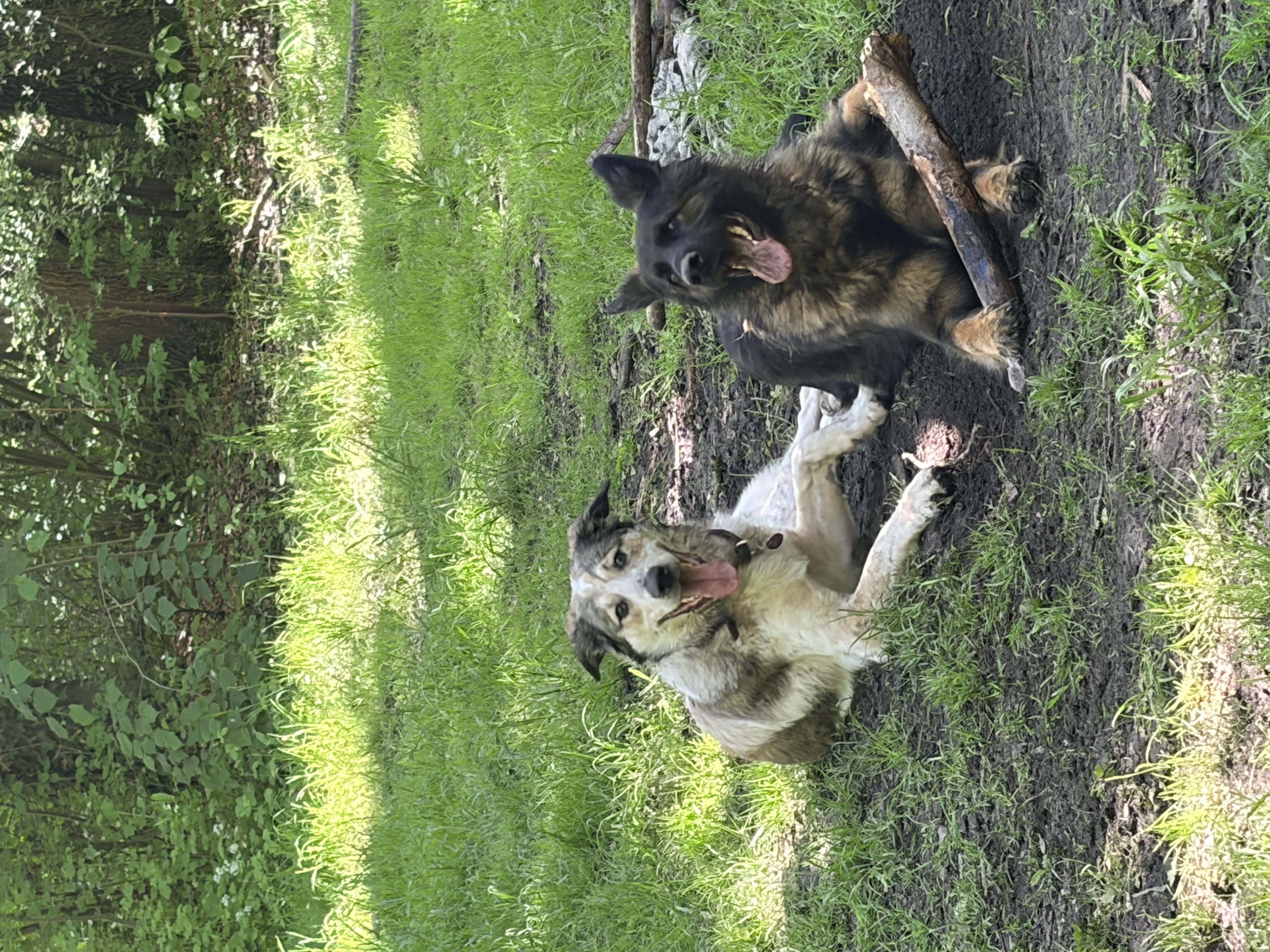 image-12