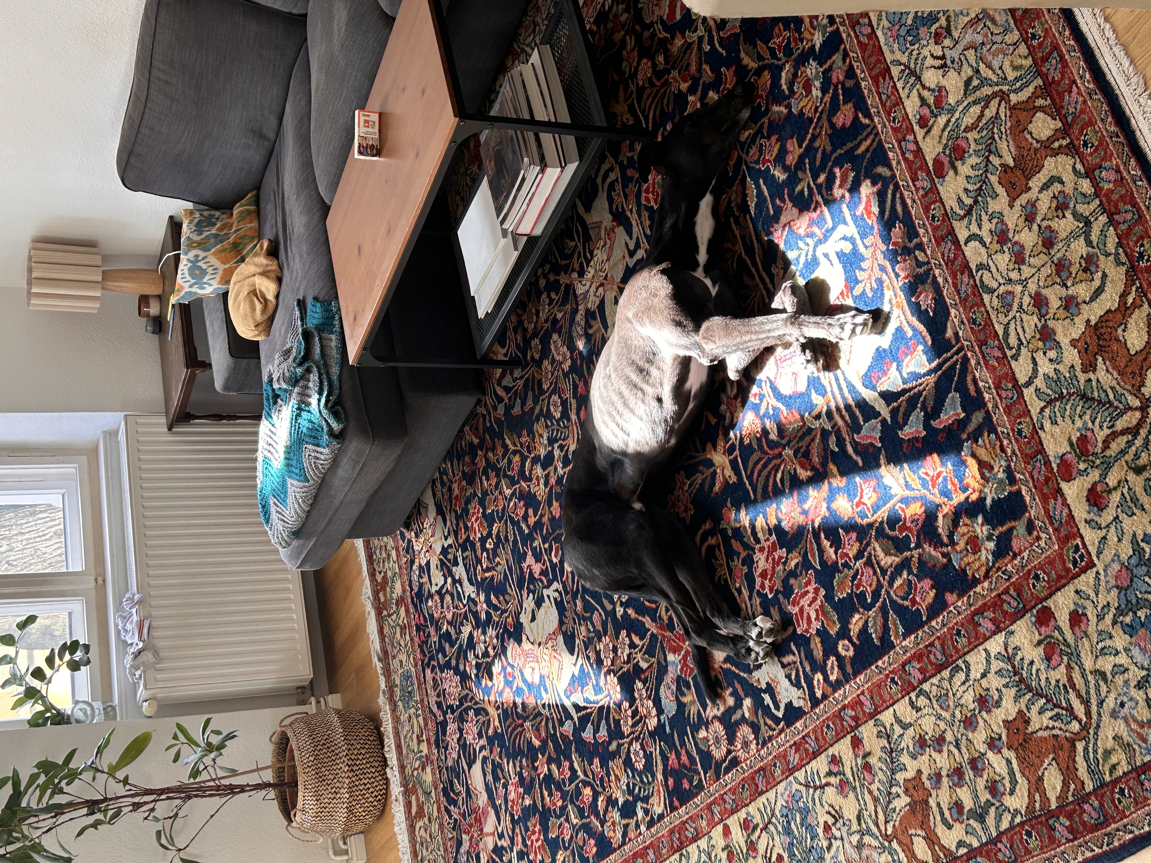 image-9