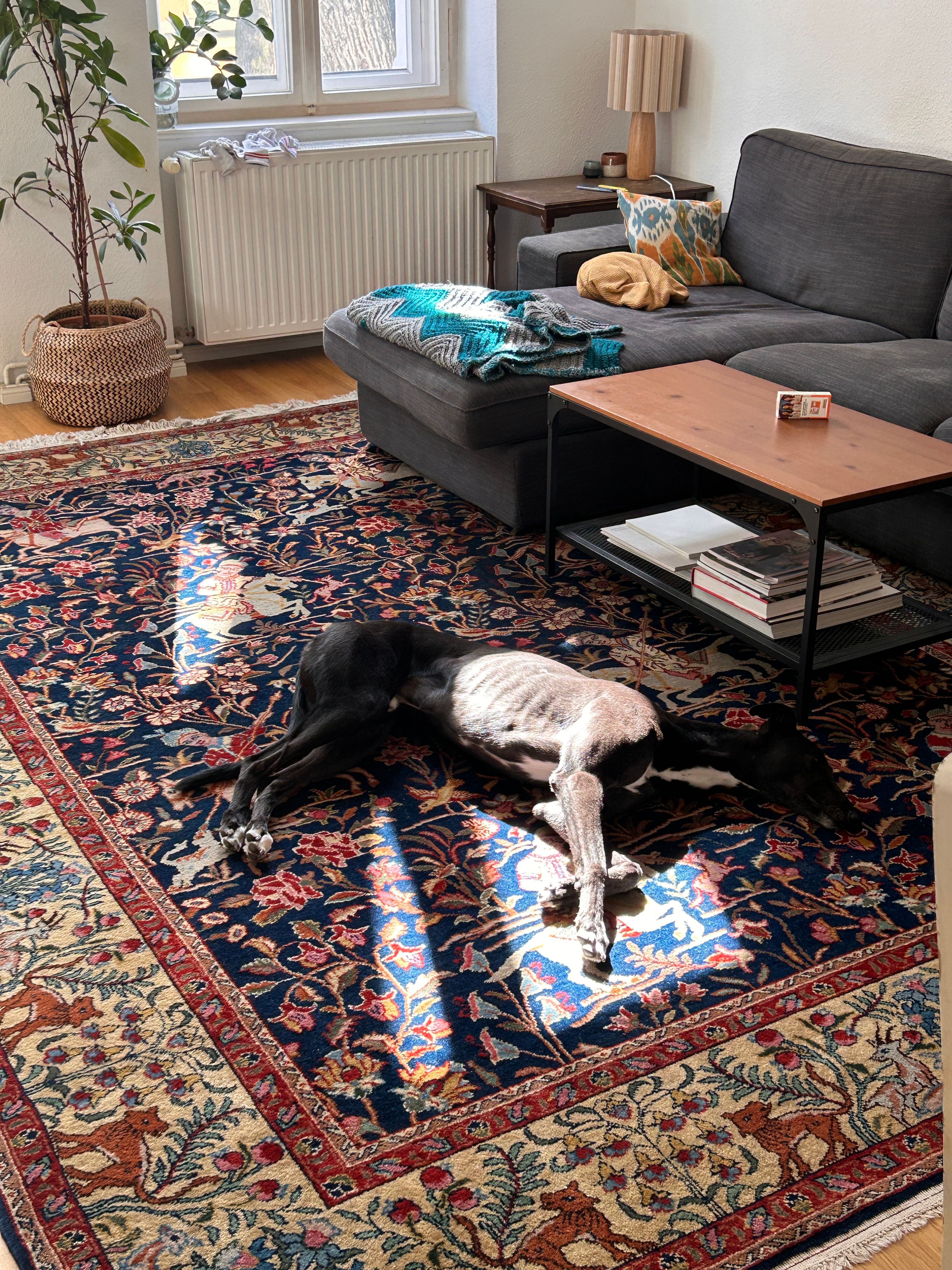 image-9