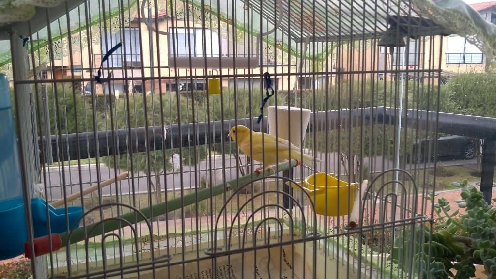image-7