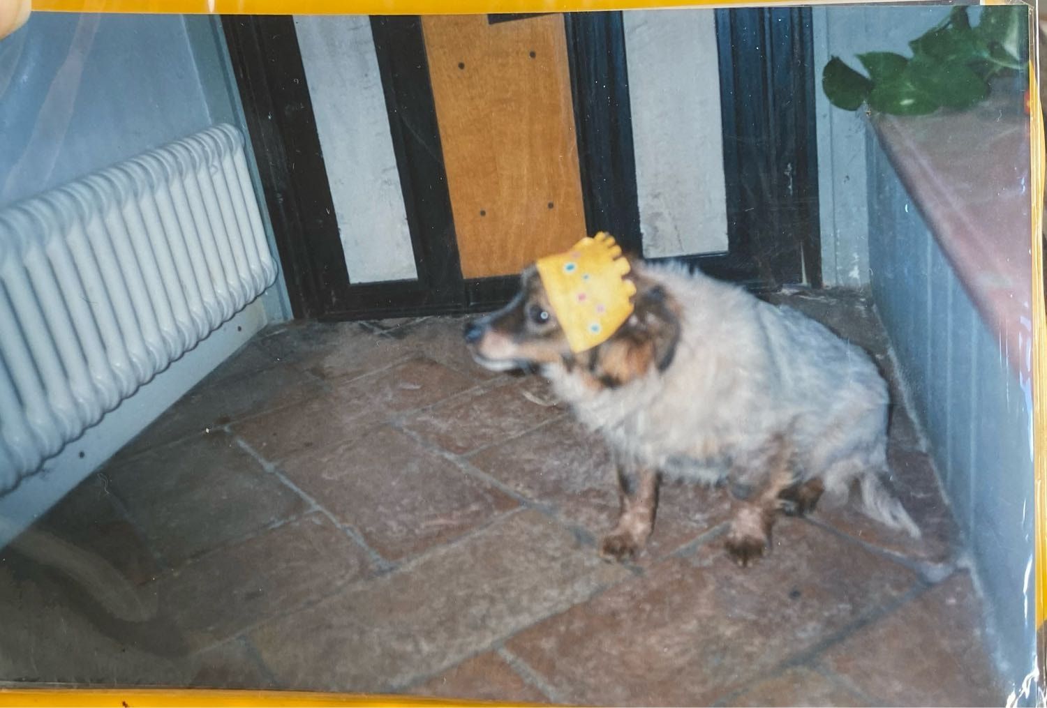 image-7