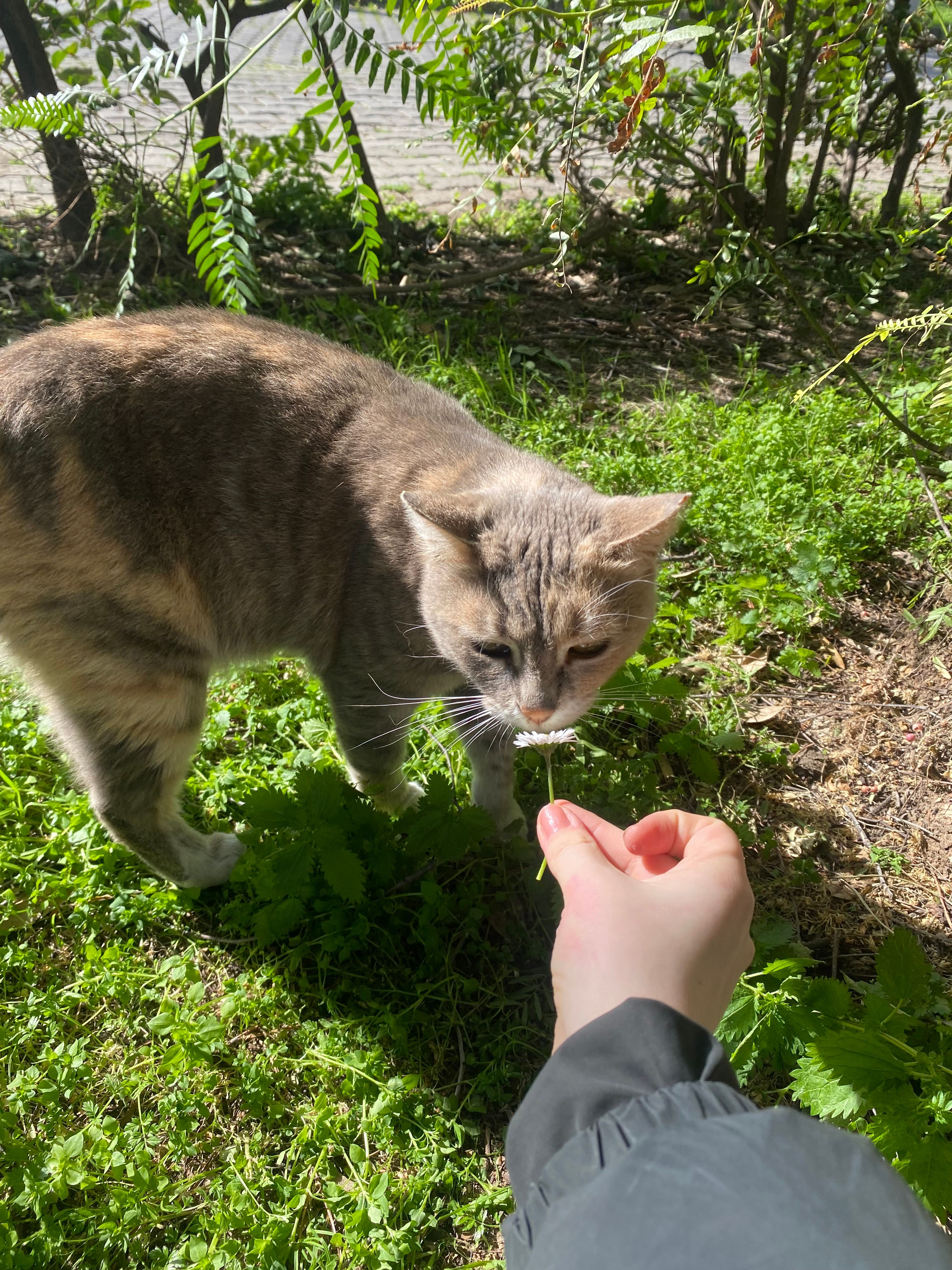 image-5