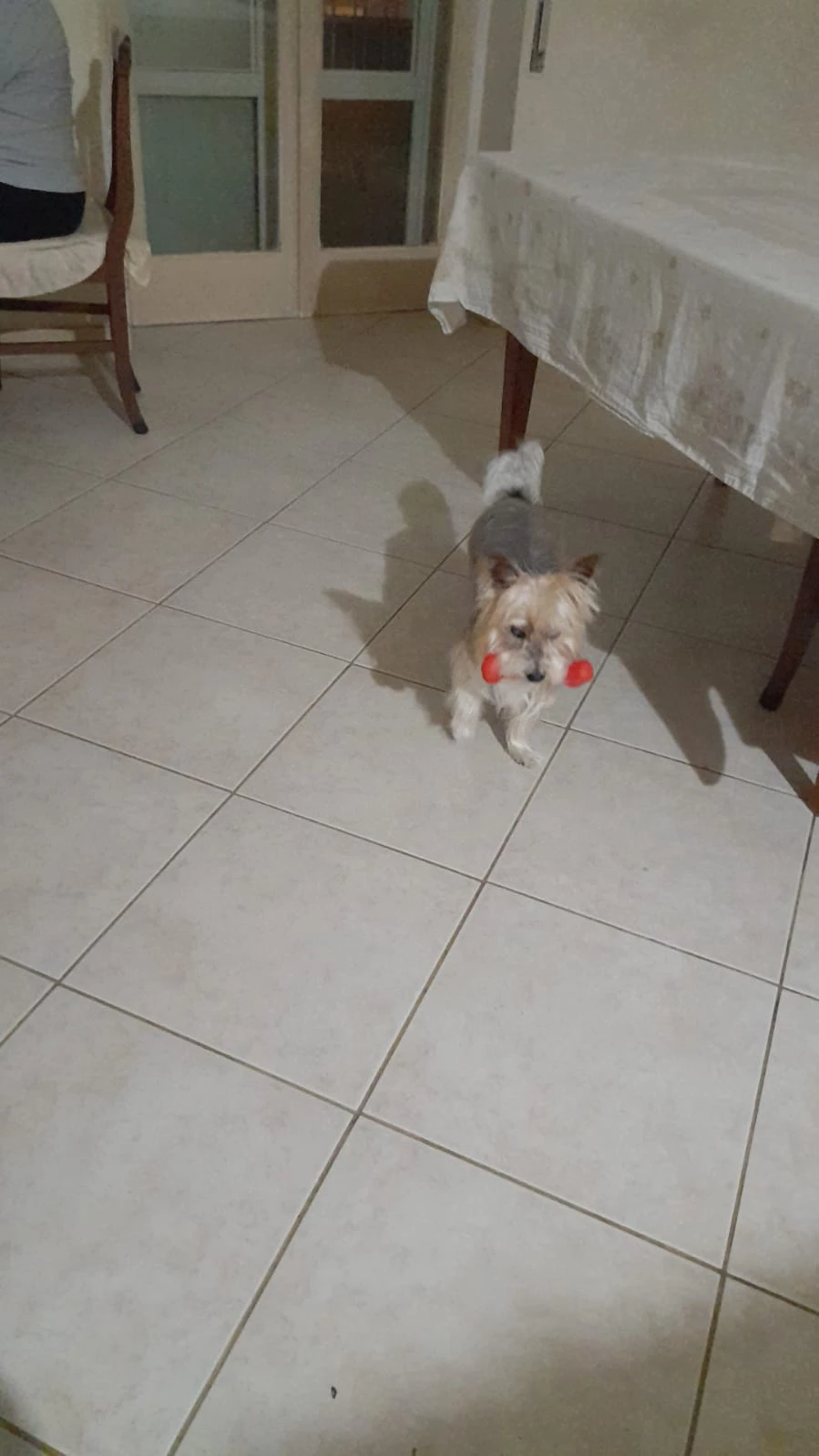 image-9