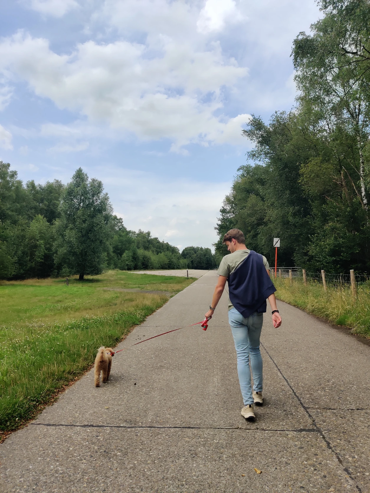 image-17
