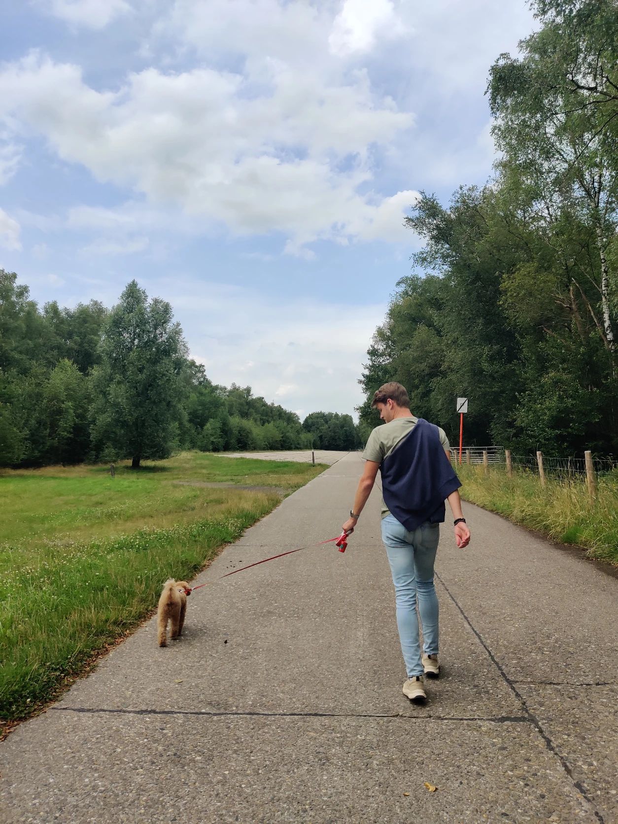 image-17