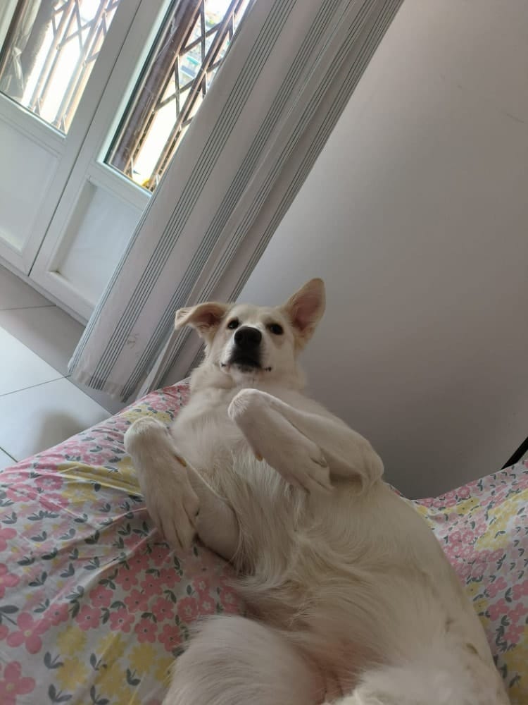 image-9
