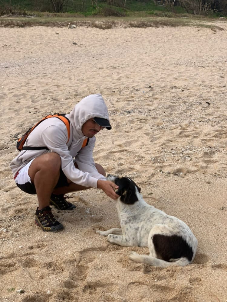 image-3