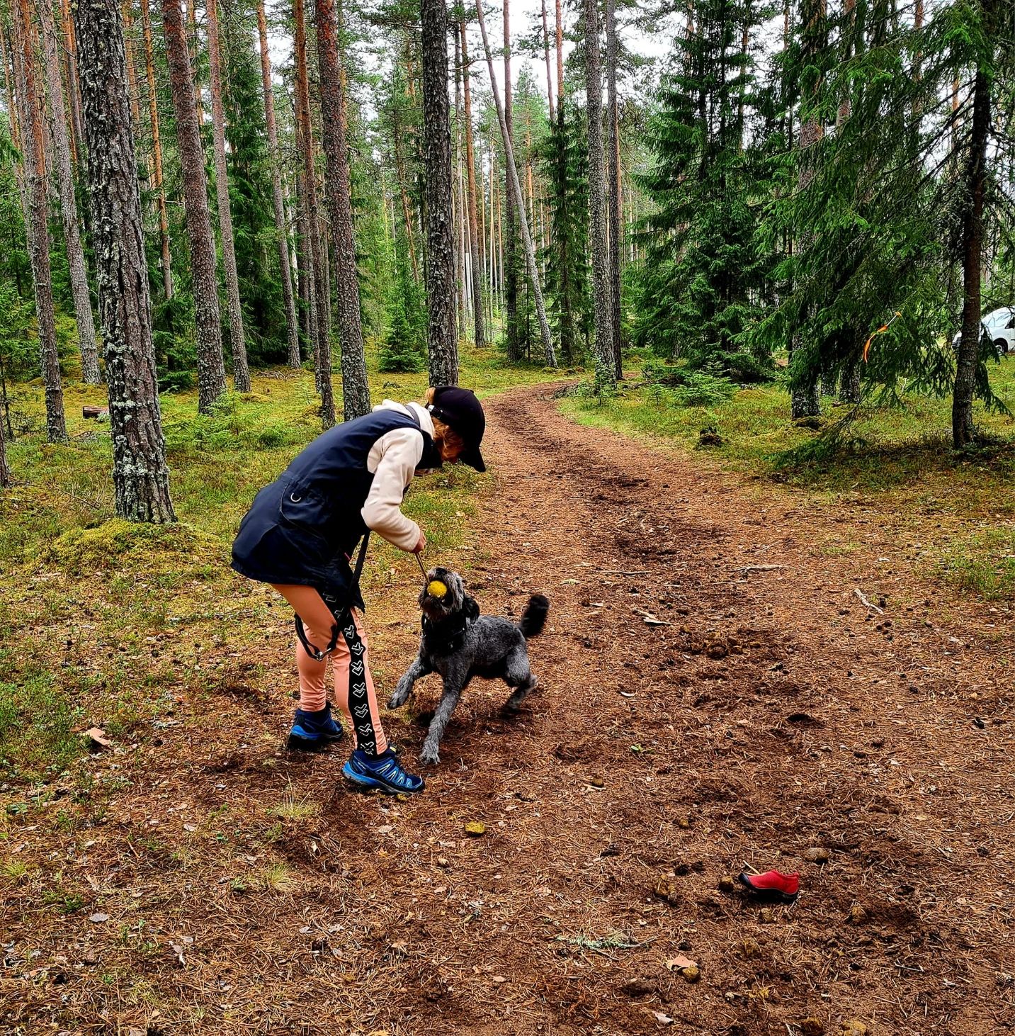image-5