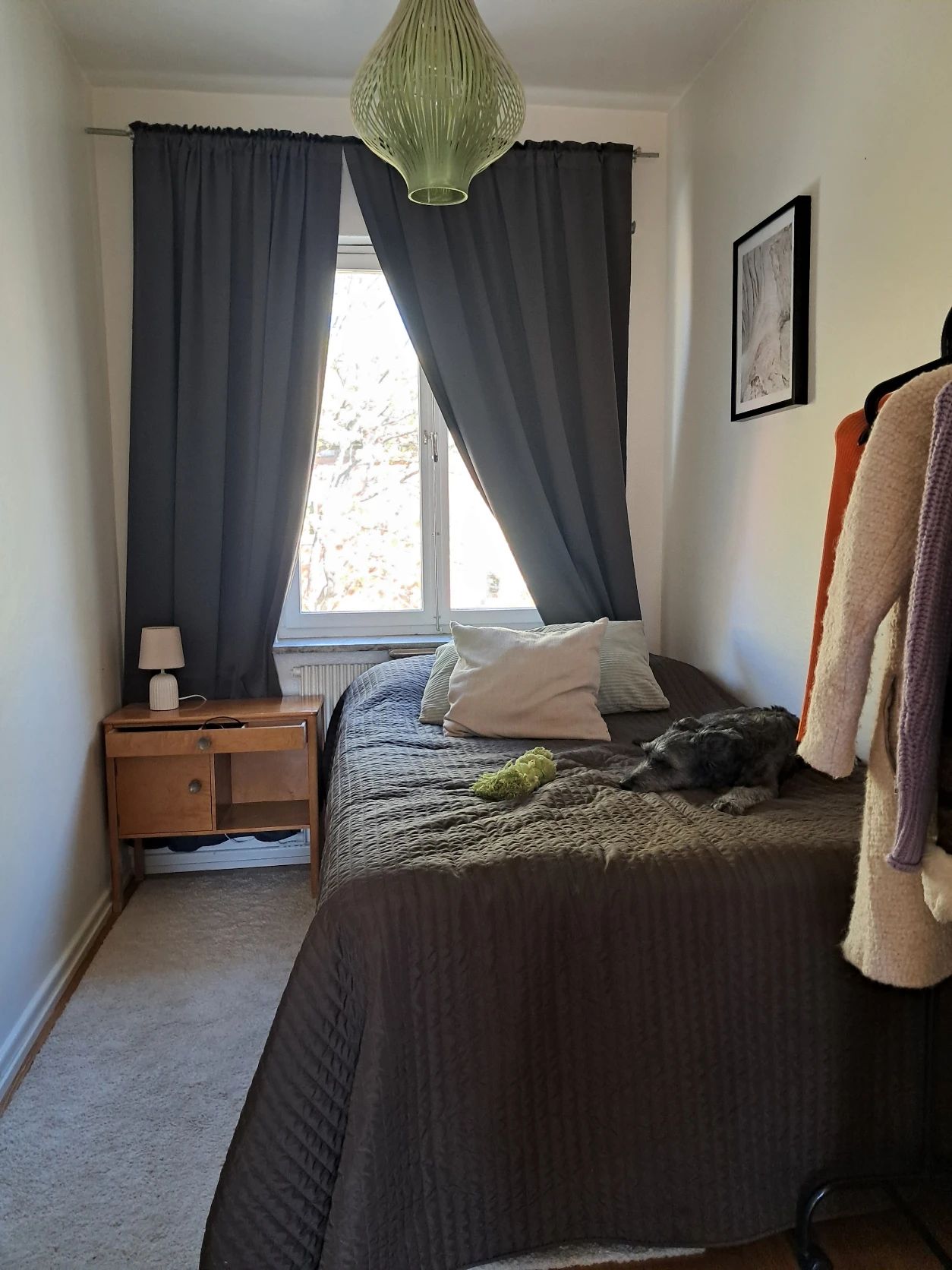 image-14