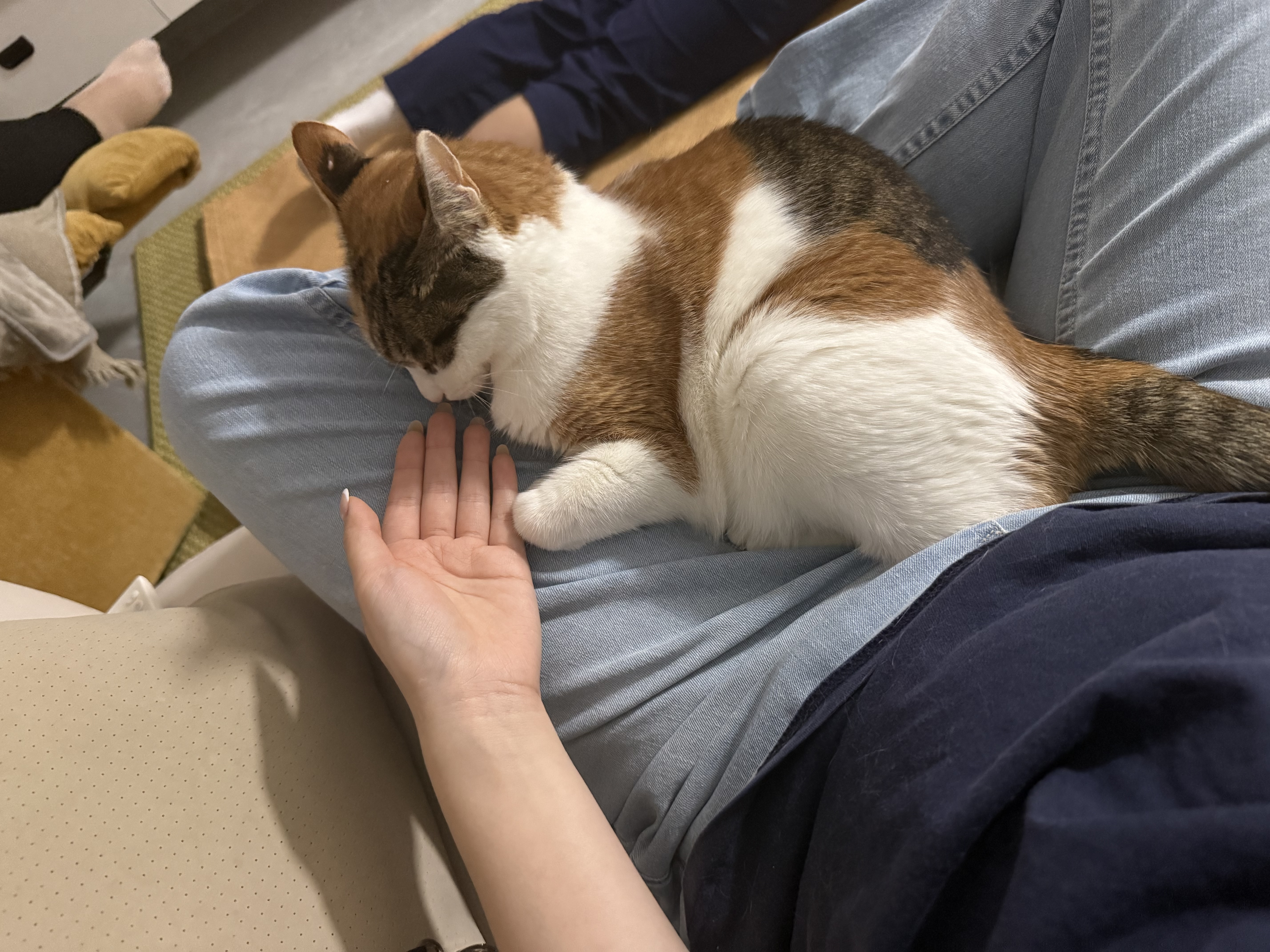 image-6