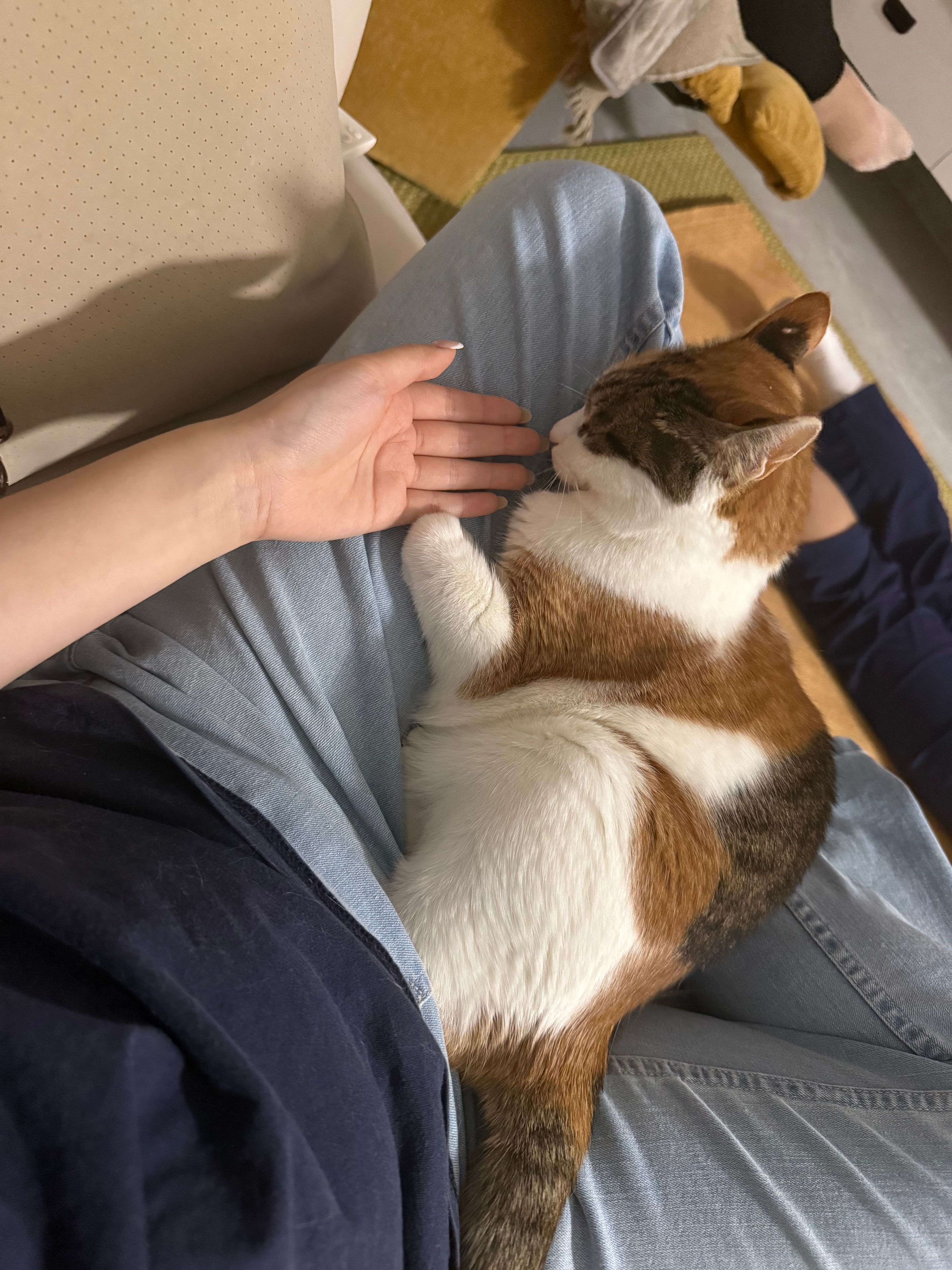 image-6