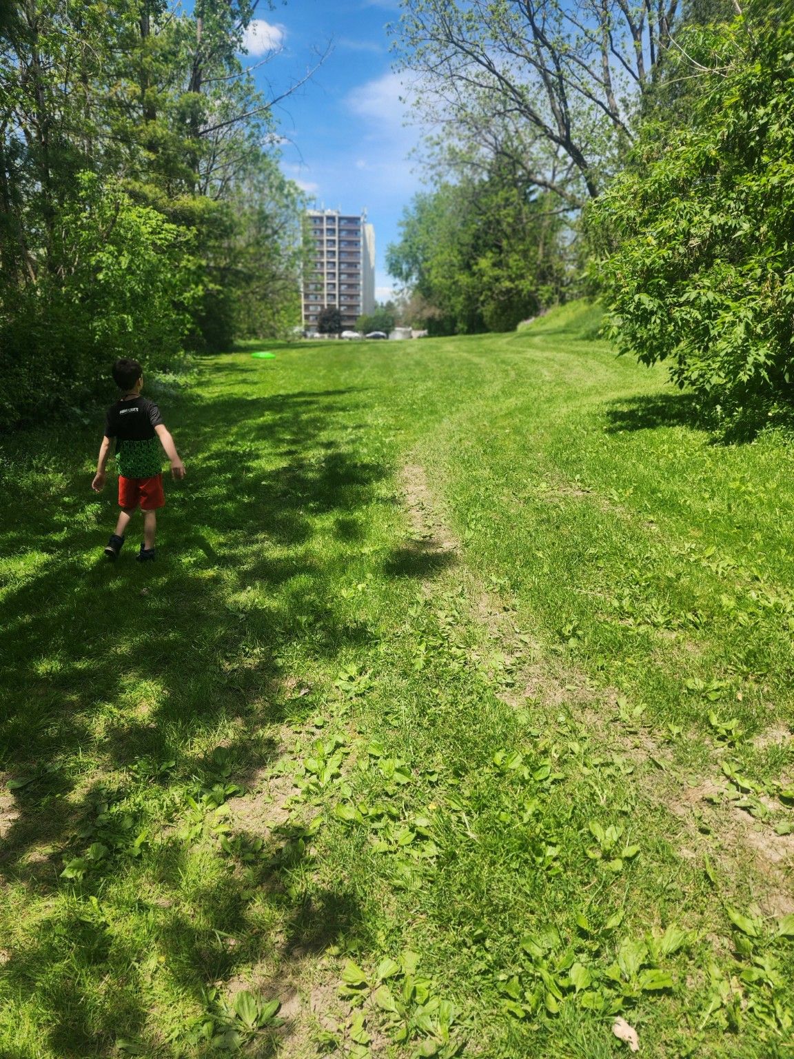 image-11