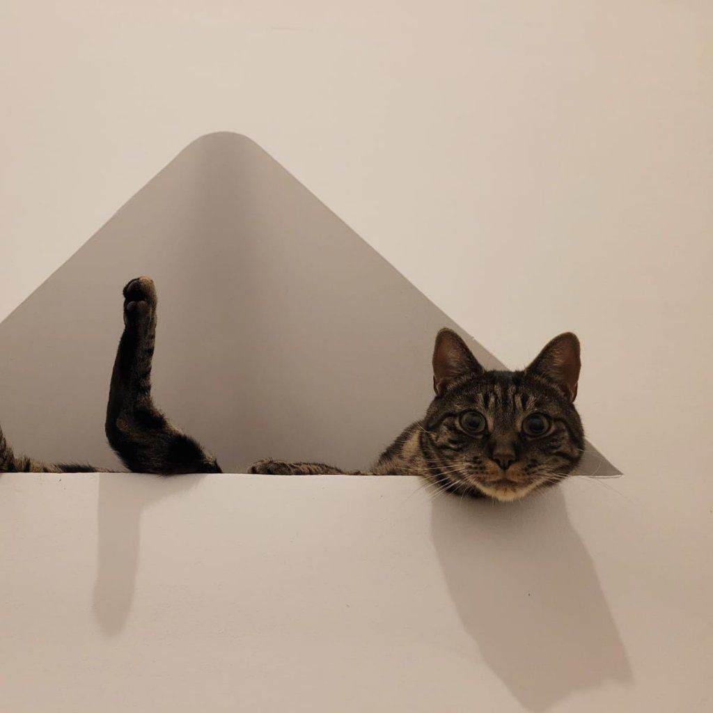 Léa