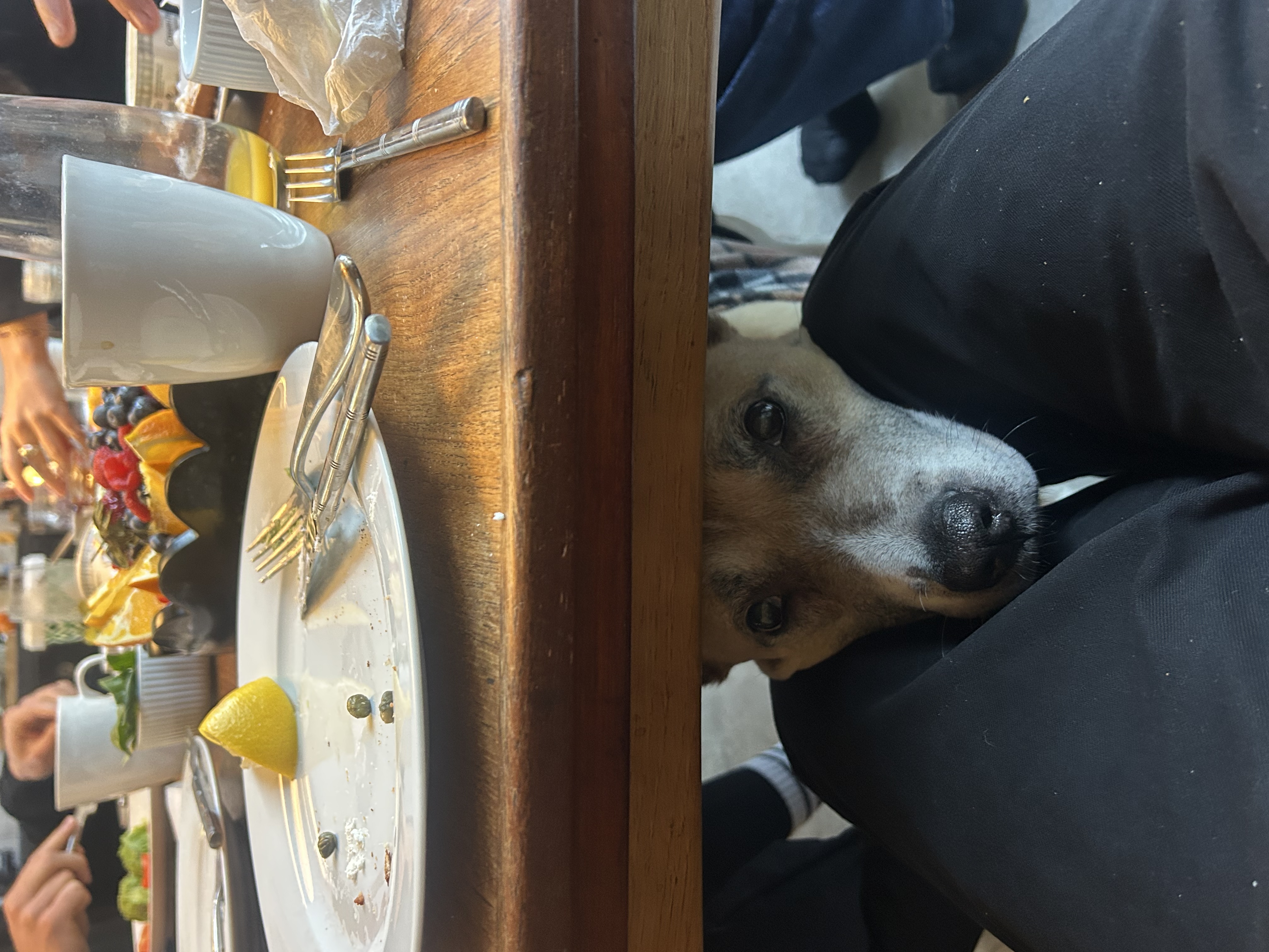 image-15
