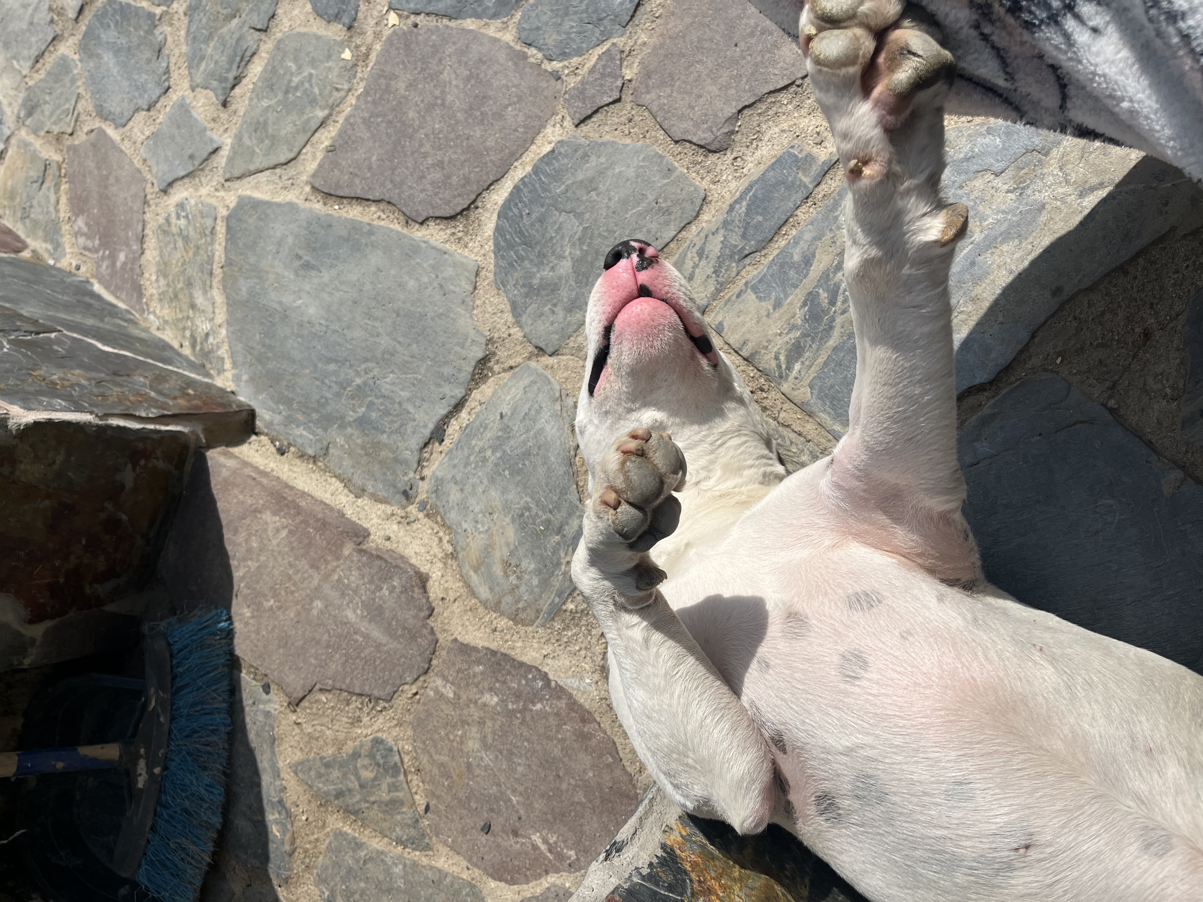 image-9