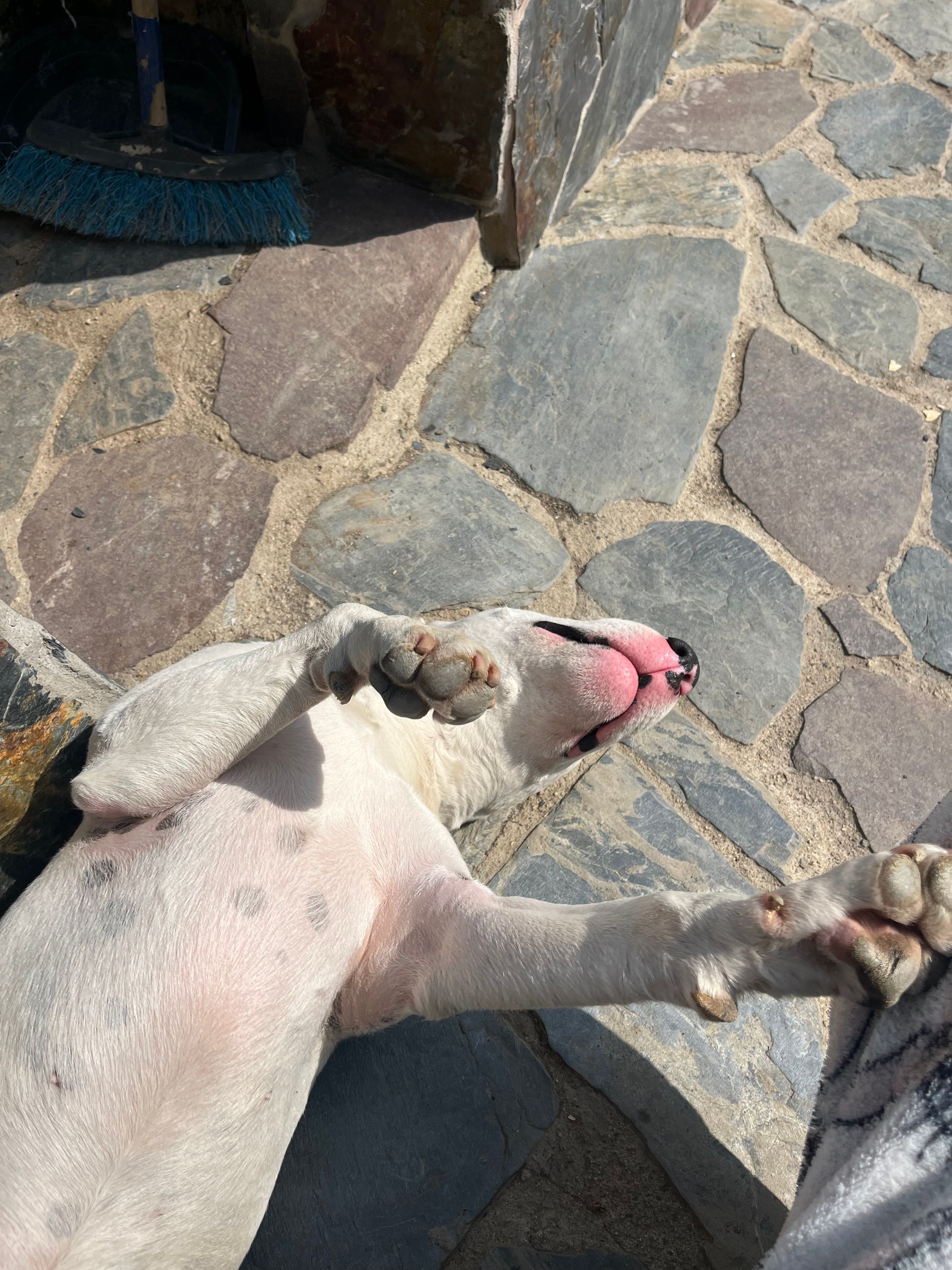 image-9