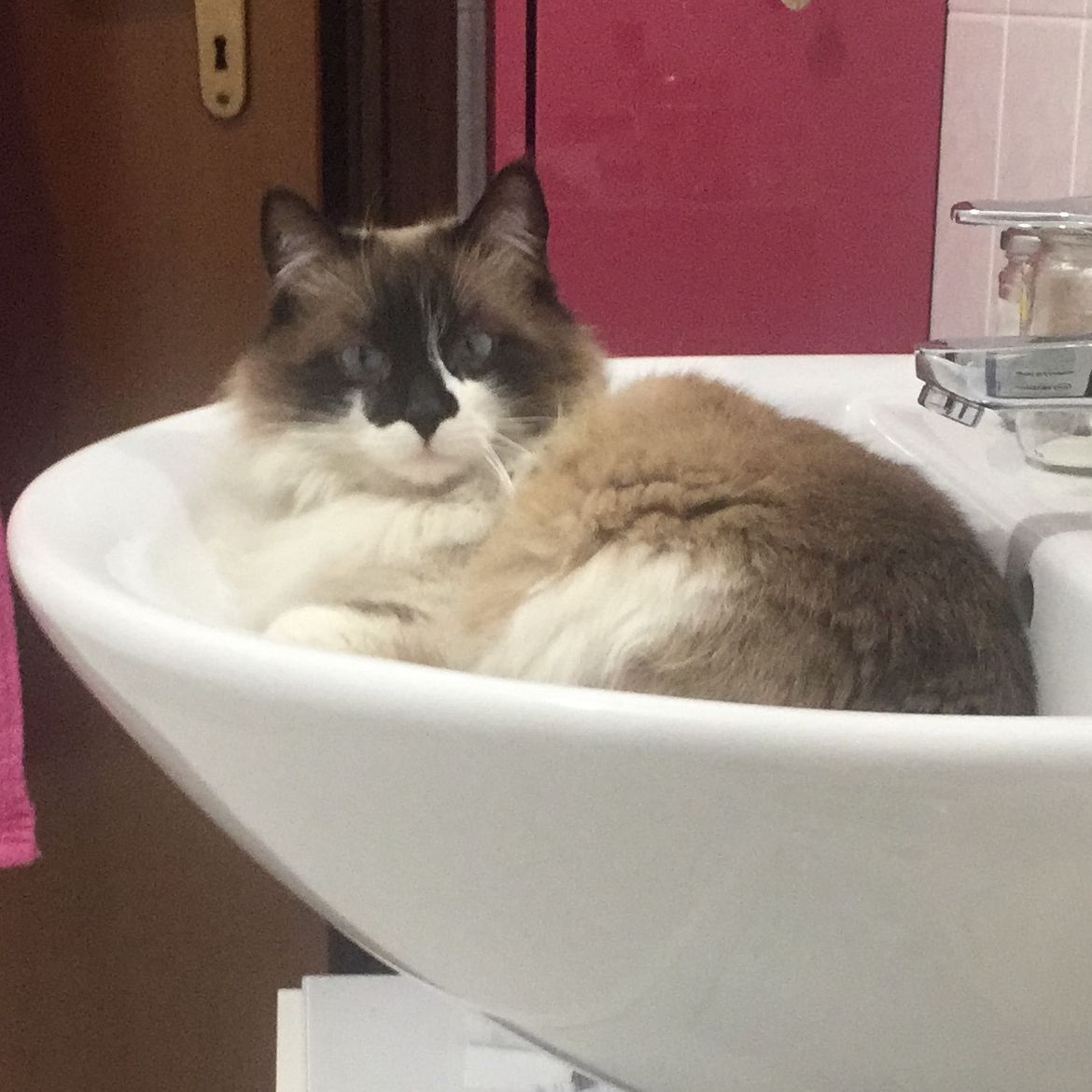 Mia.