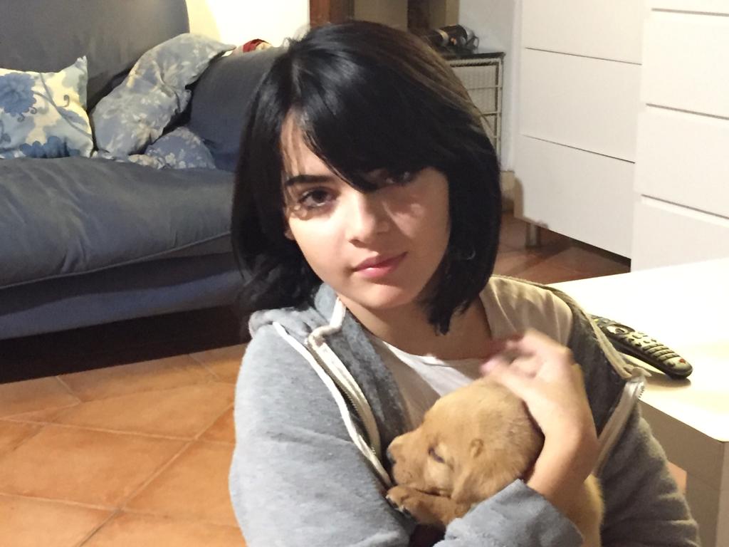 image-6
