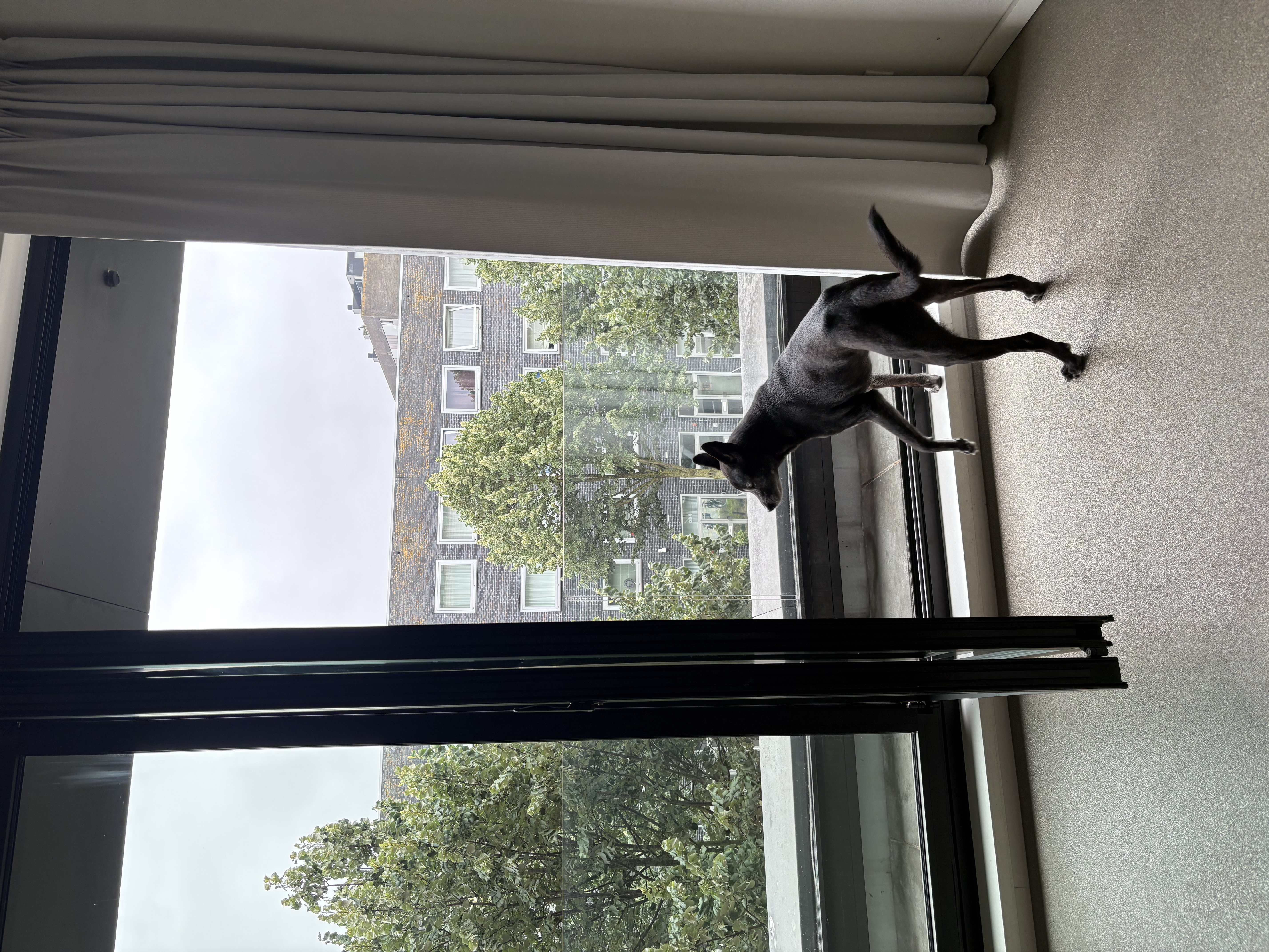 image-25