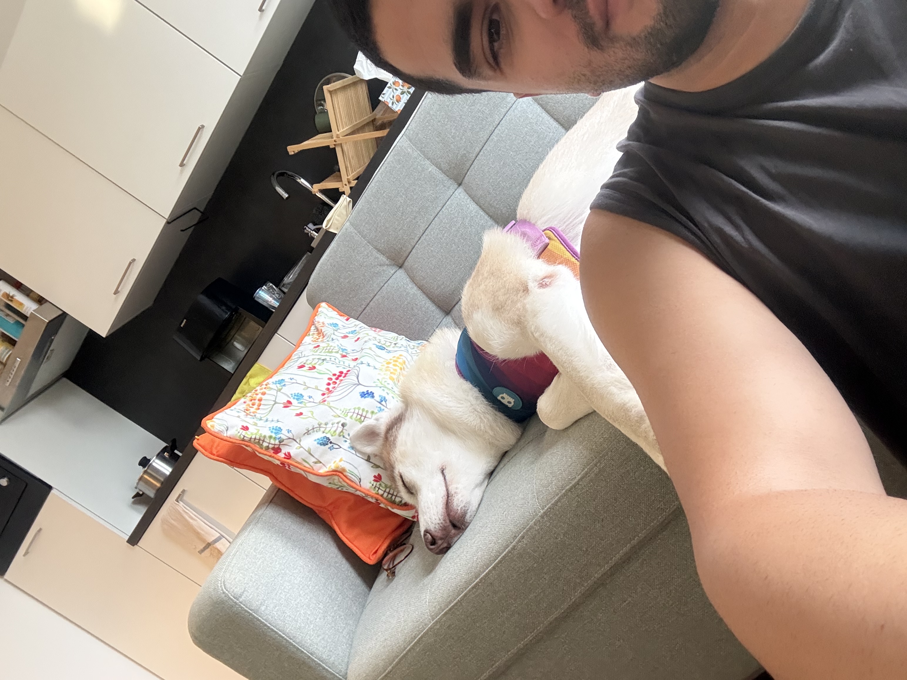 image-13