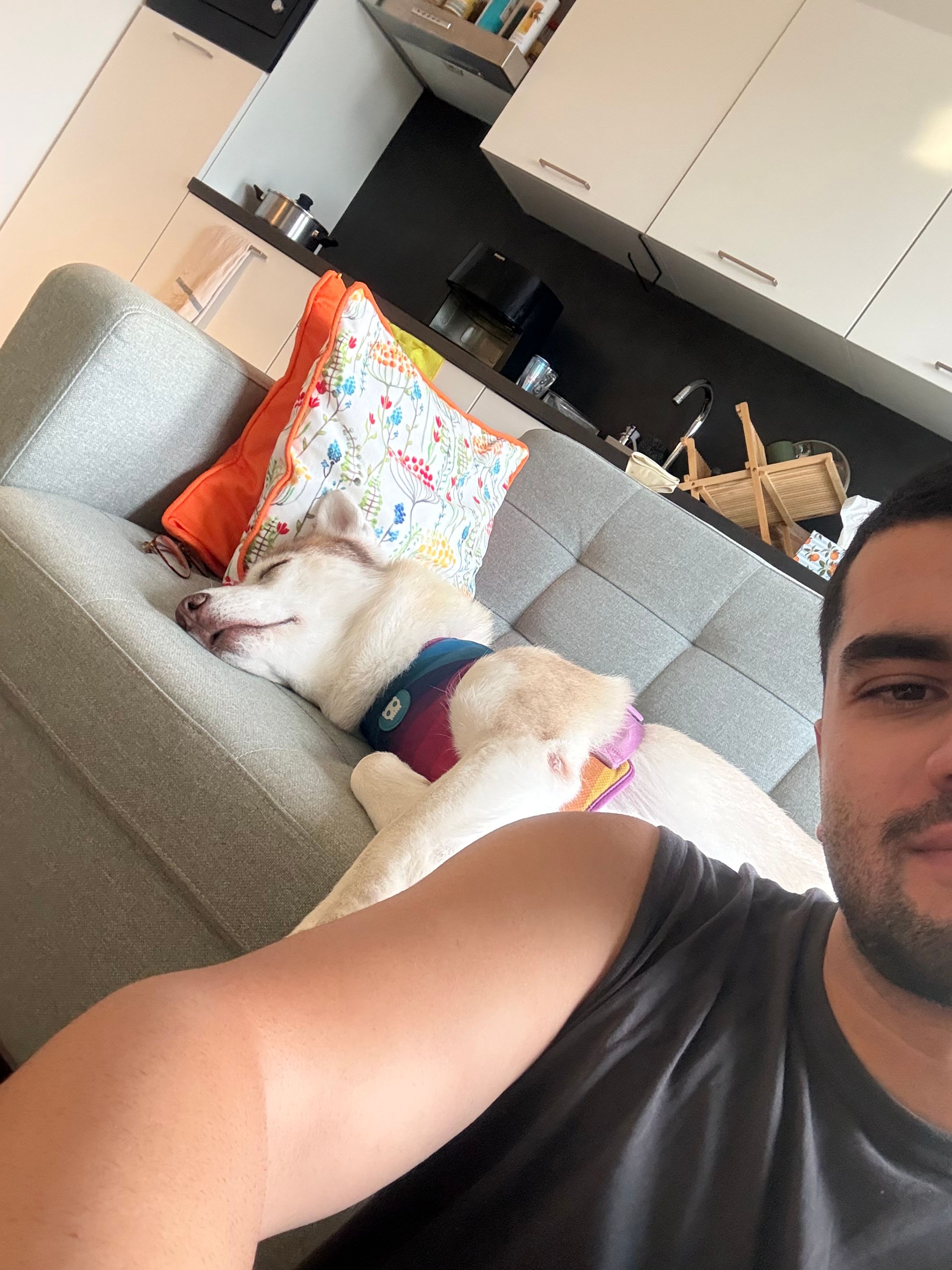 image-13