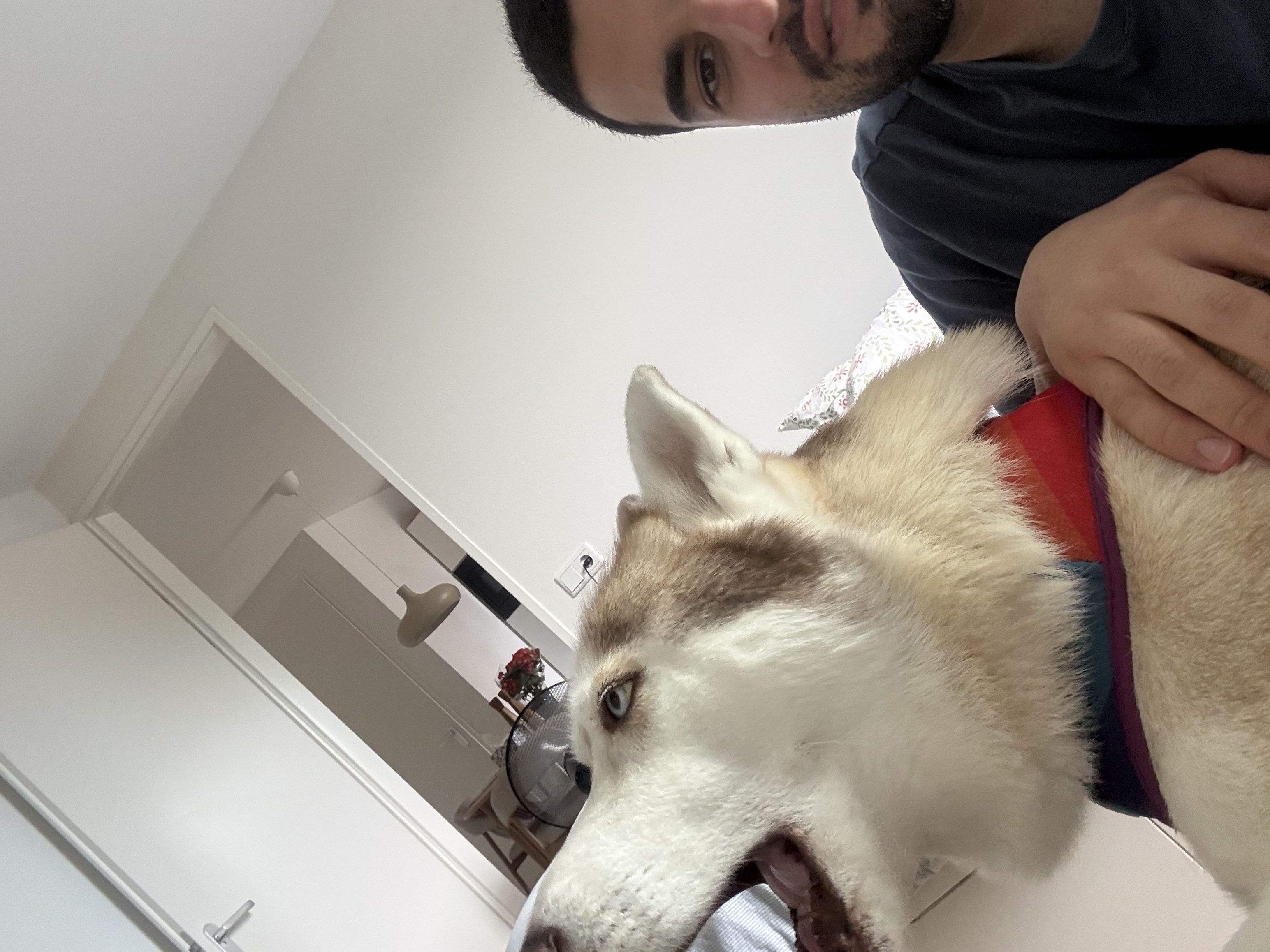 image-3