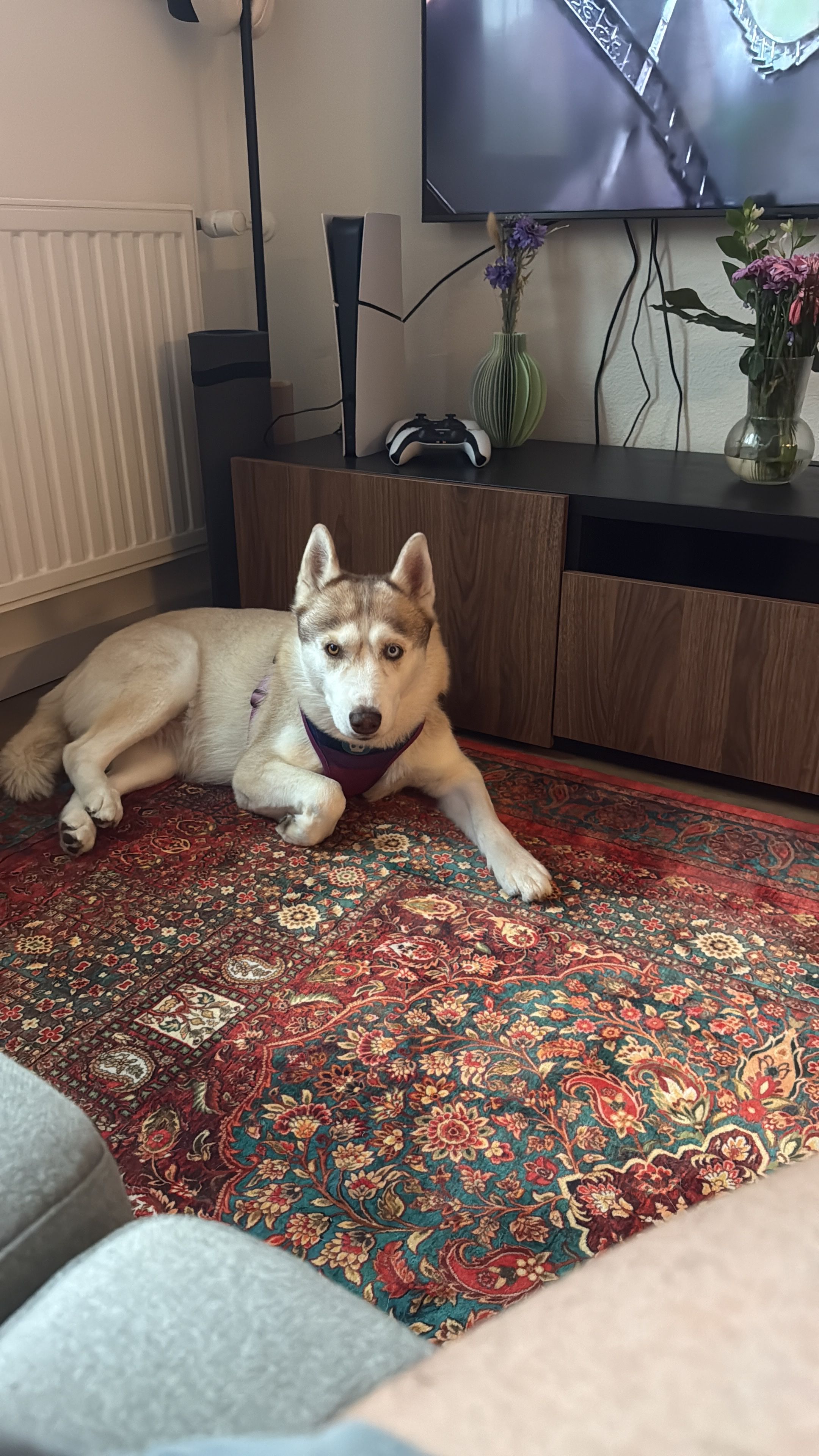 image-14