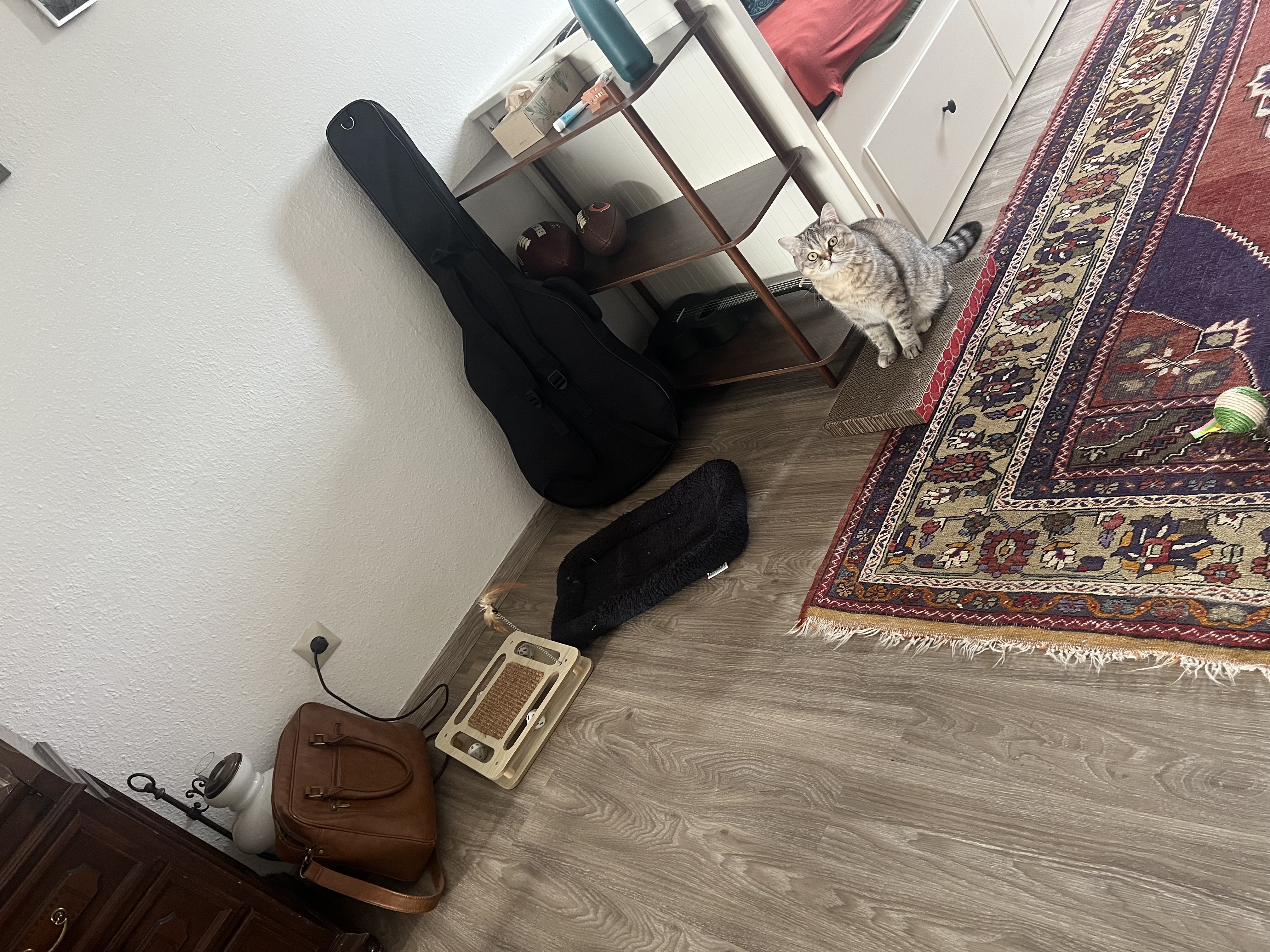 image-14