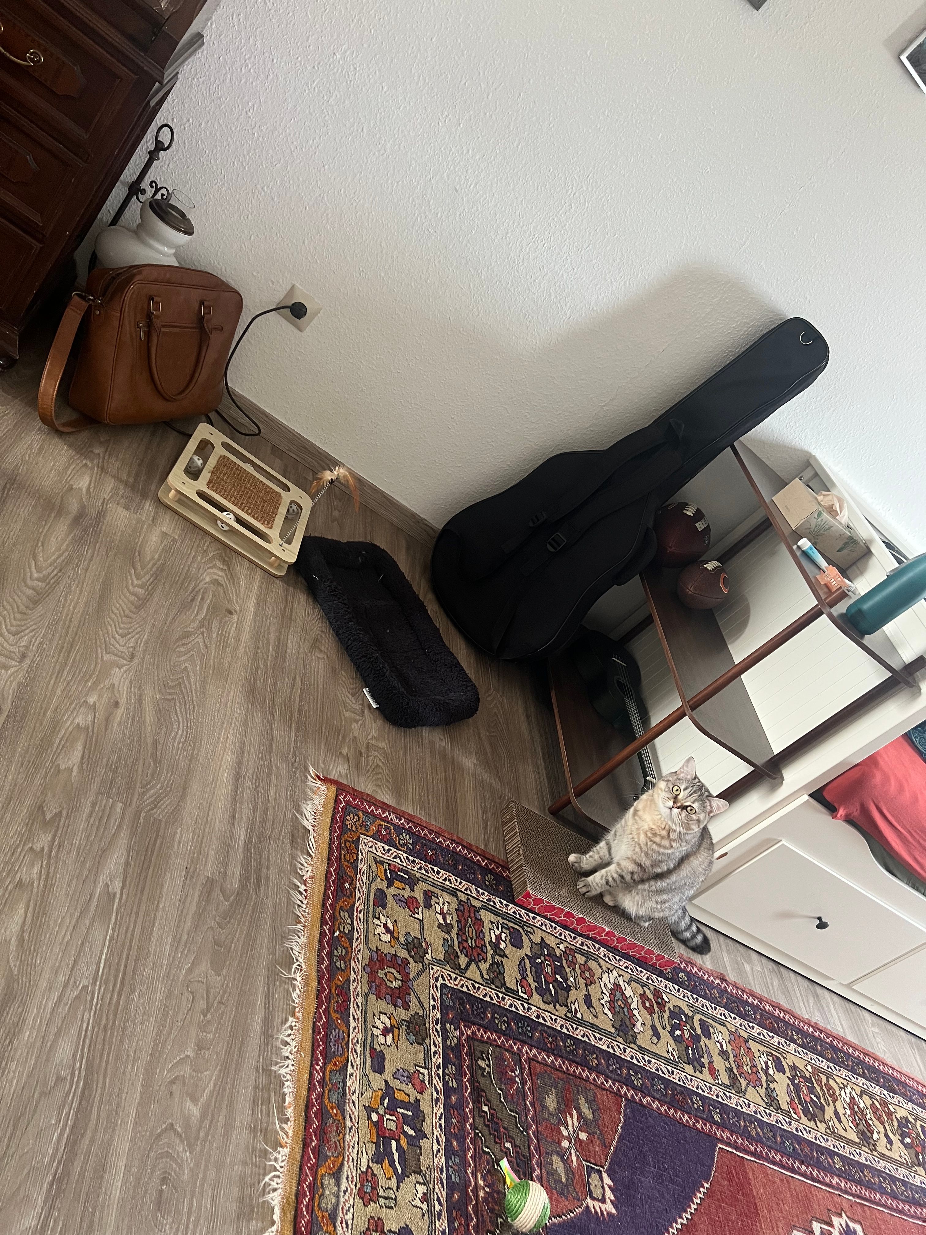 image-14