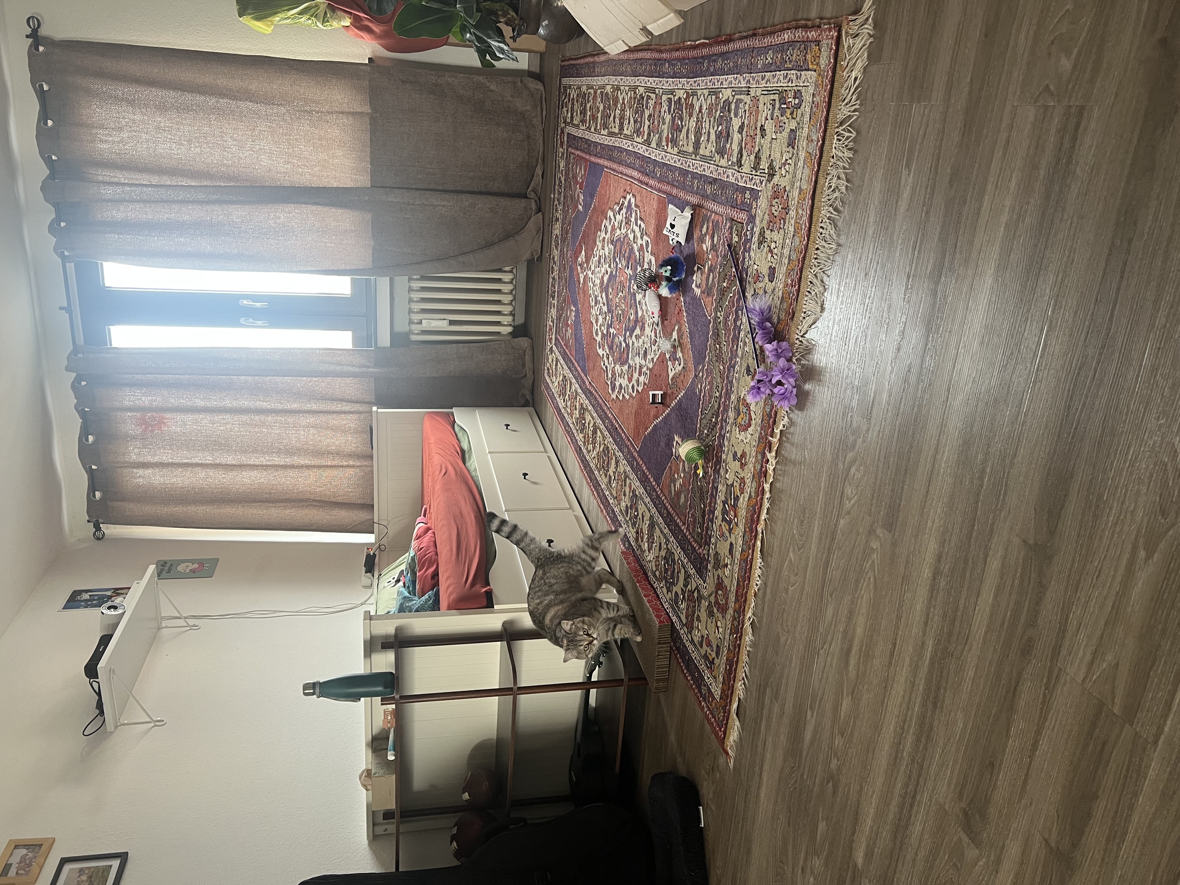image-13