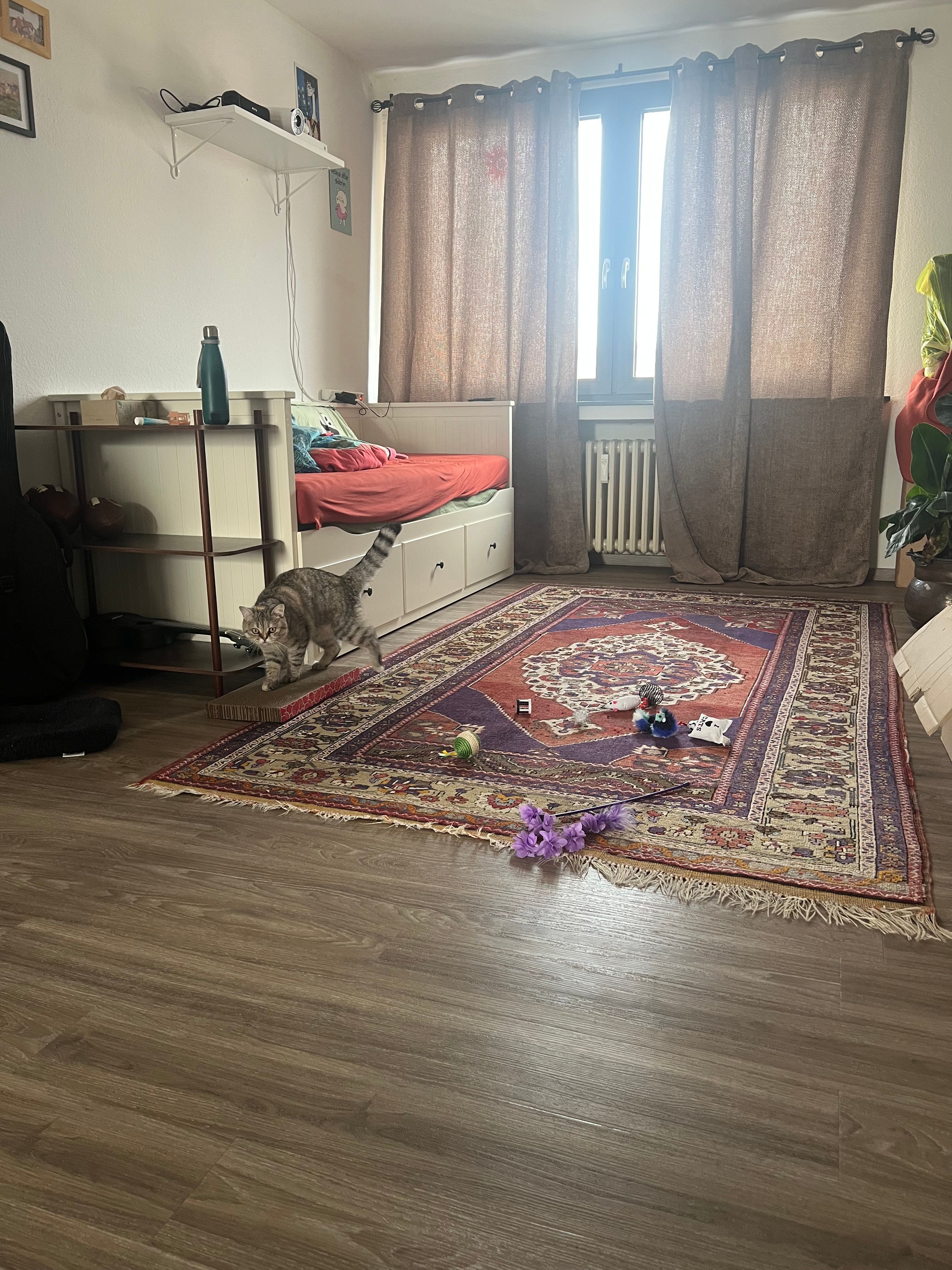 image-13