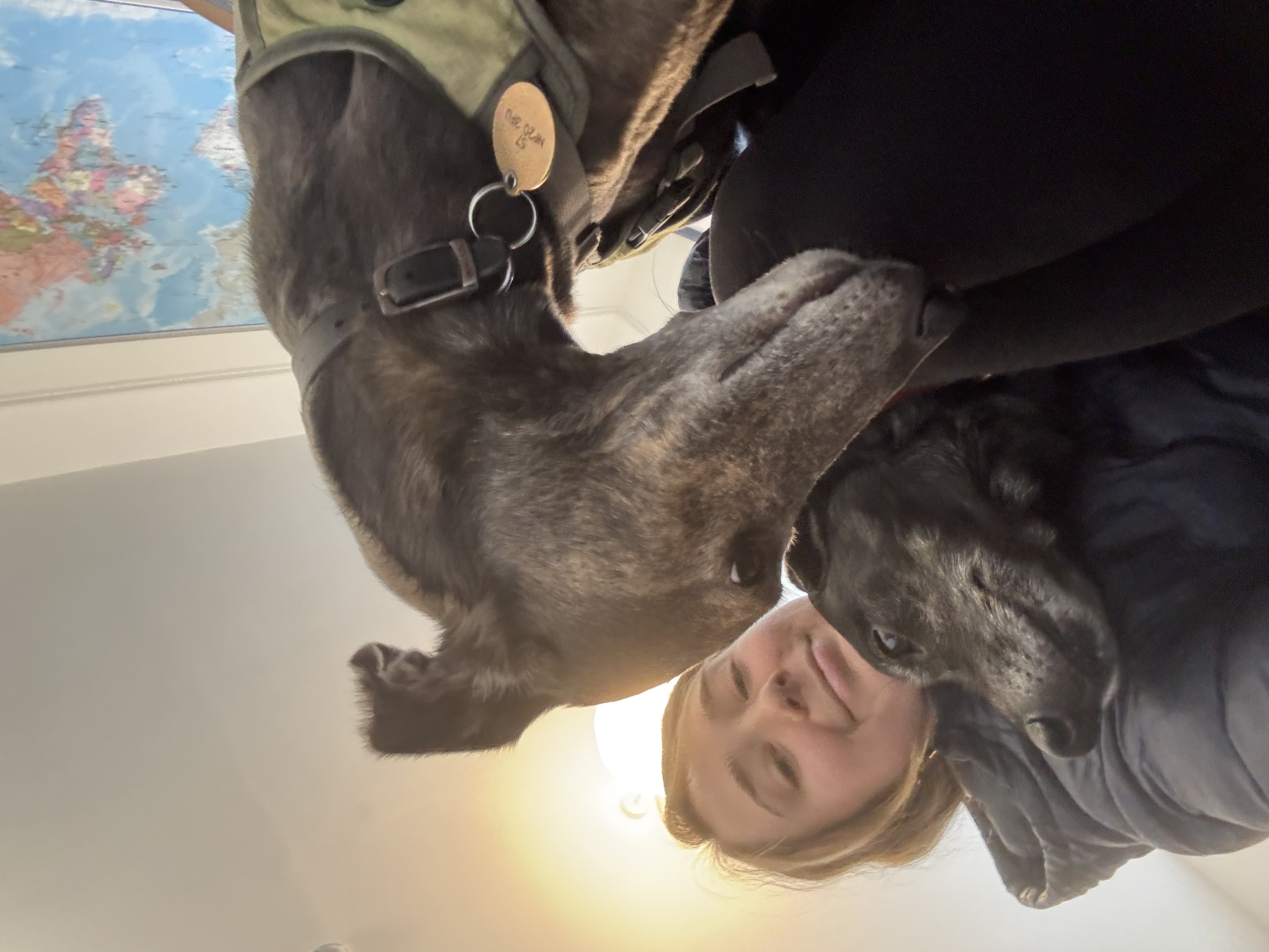 image-9