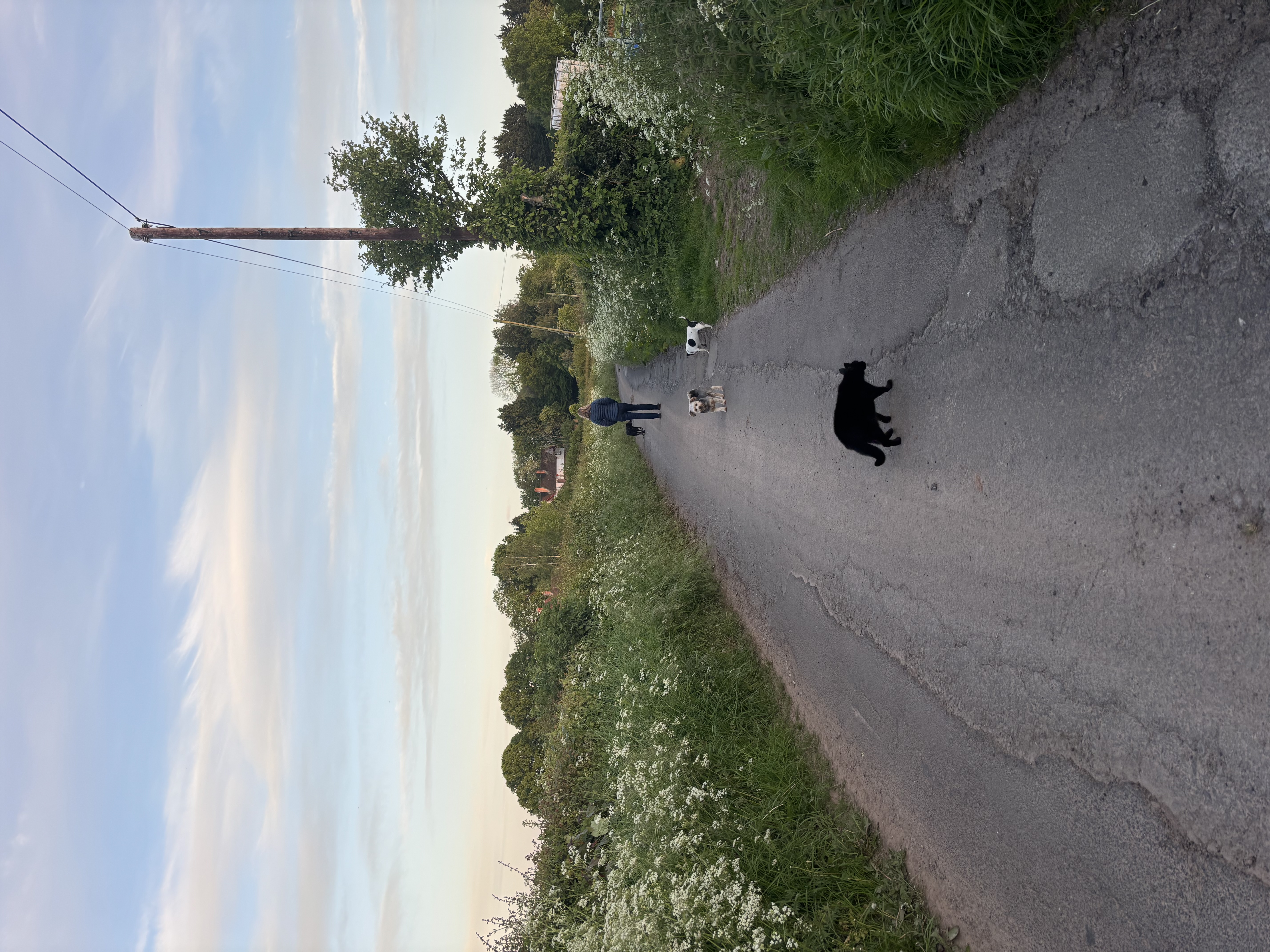 image-14
