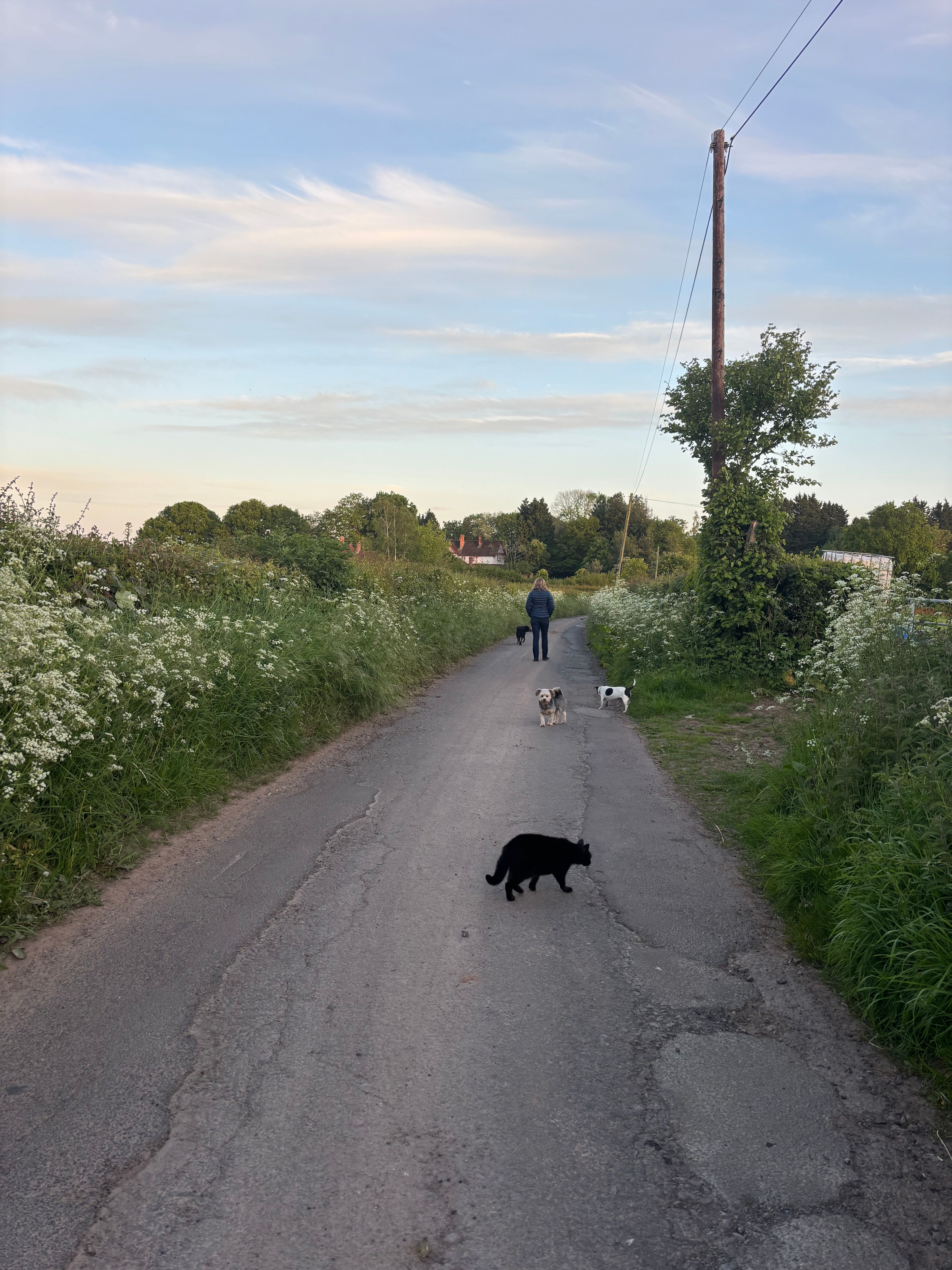 image-14