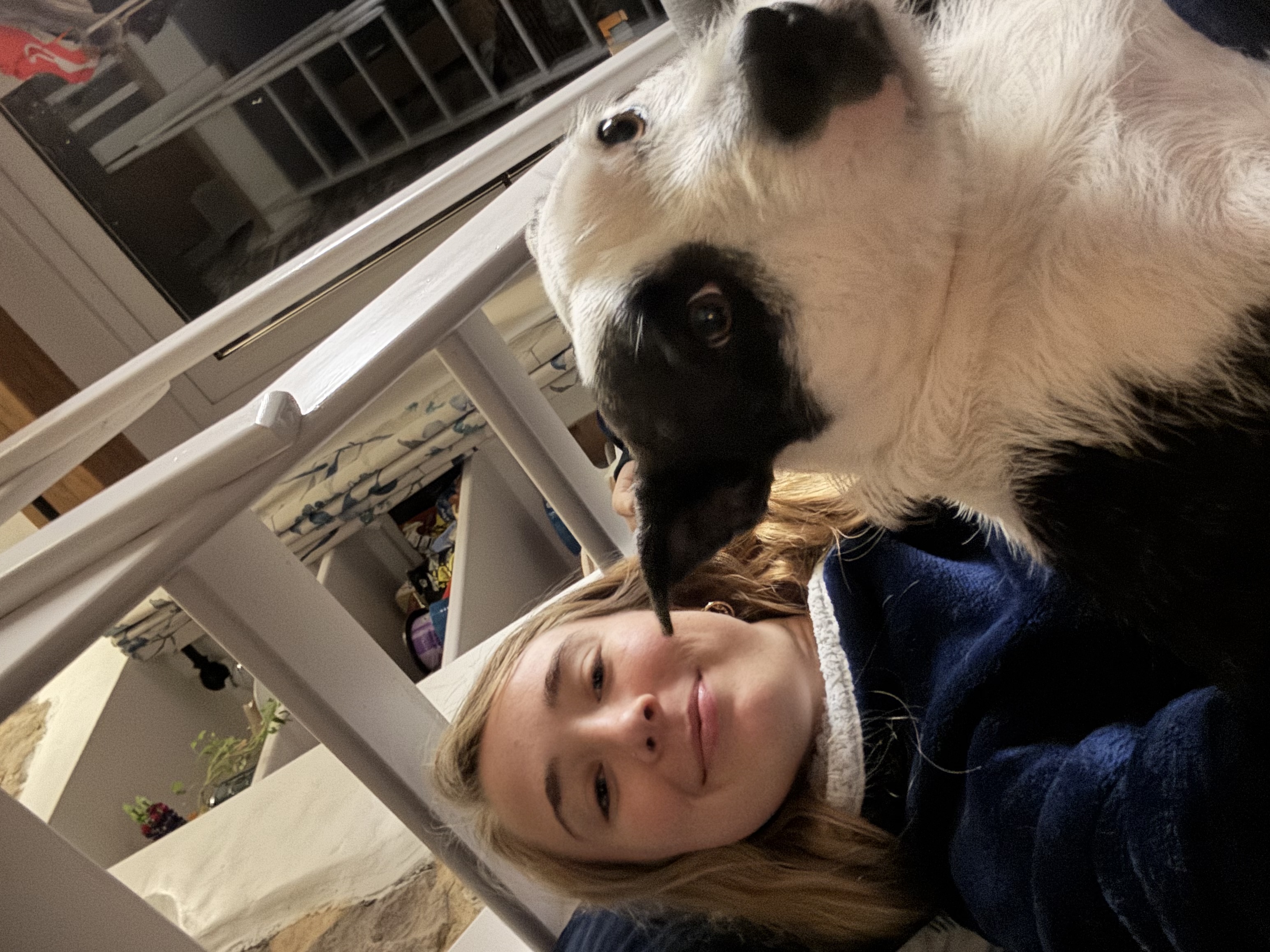 image-8