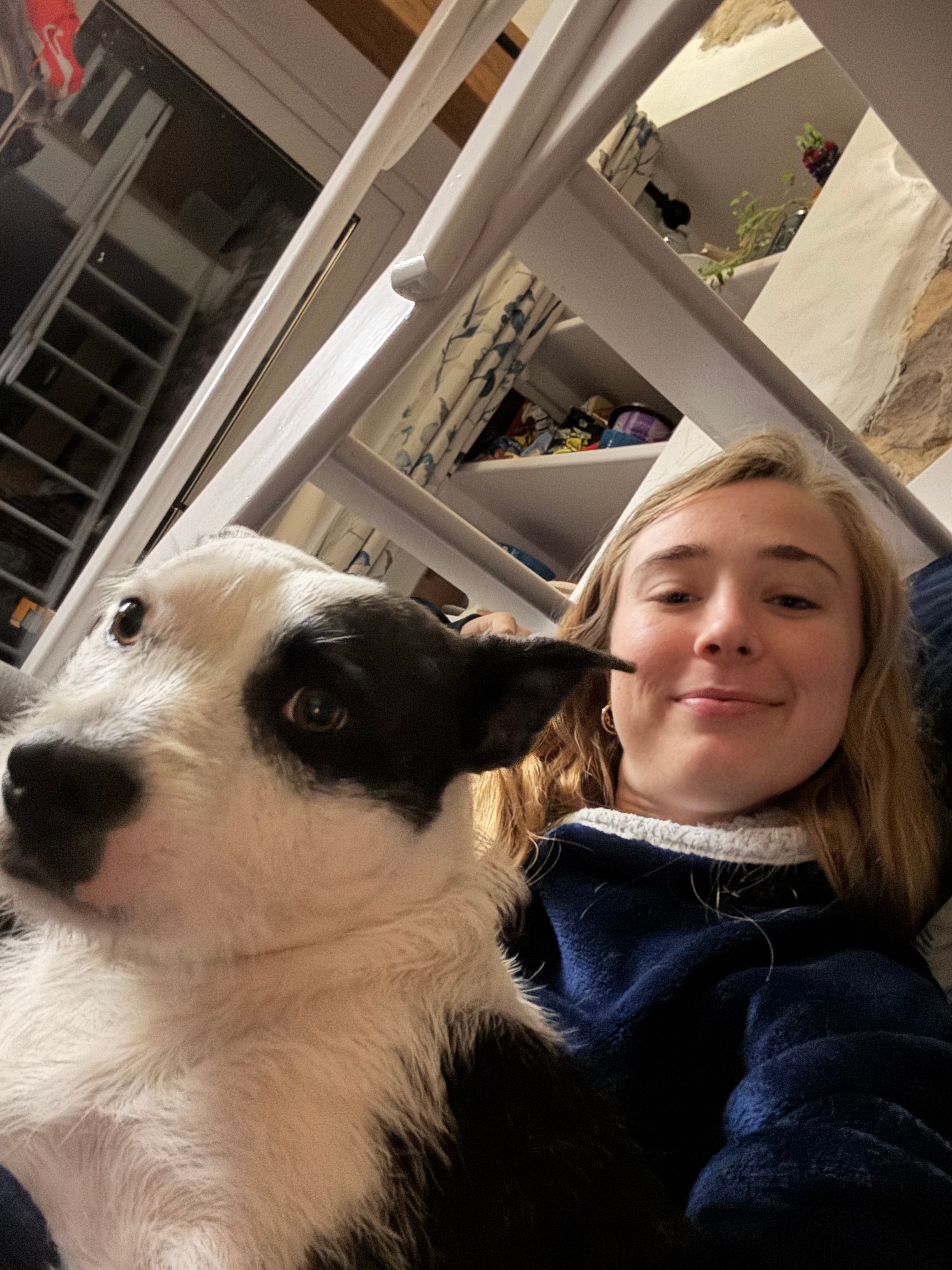 image-8