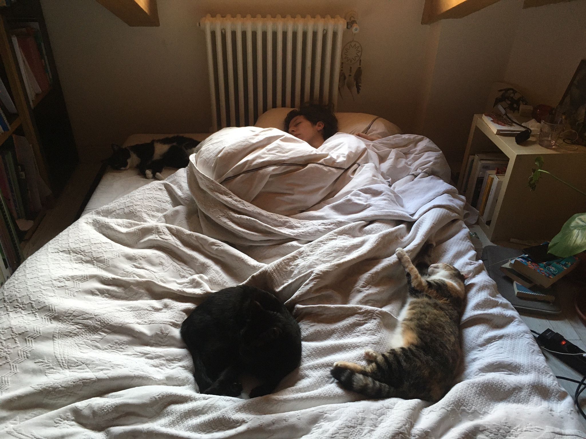 image-5