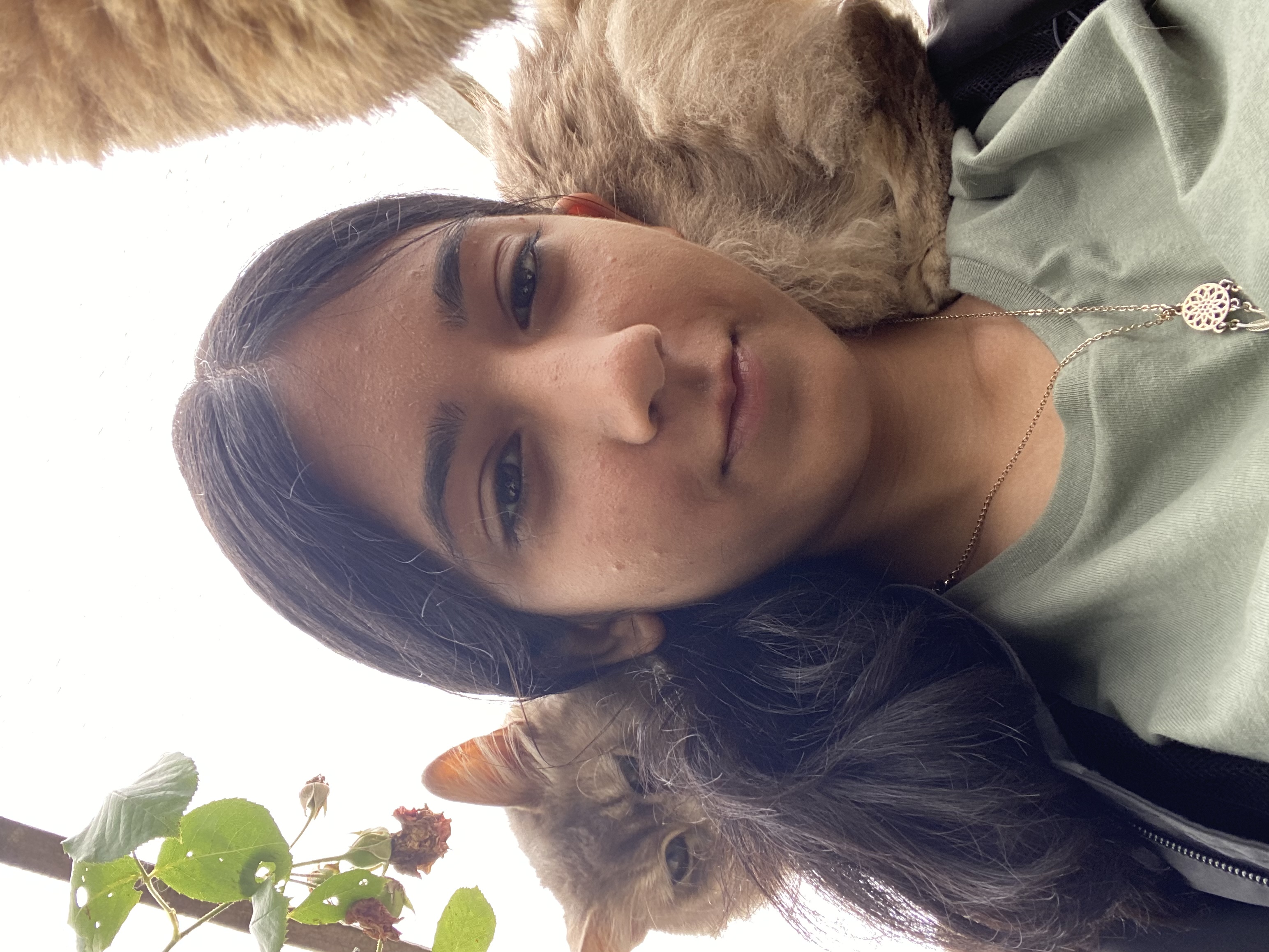 image-8