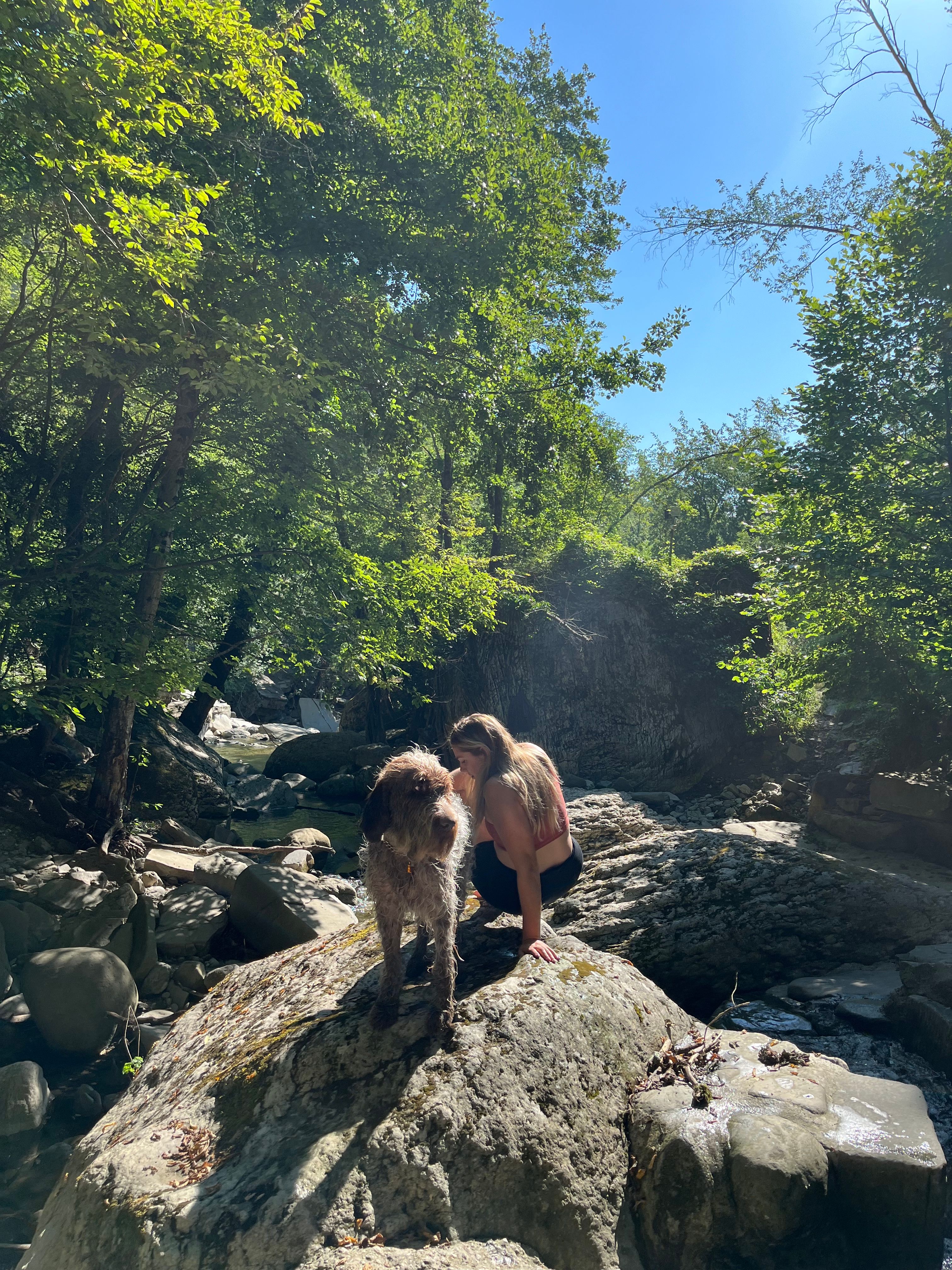 image-8
