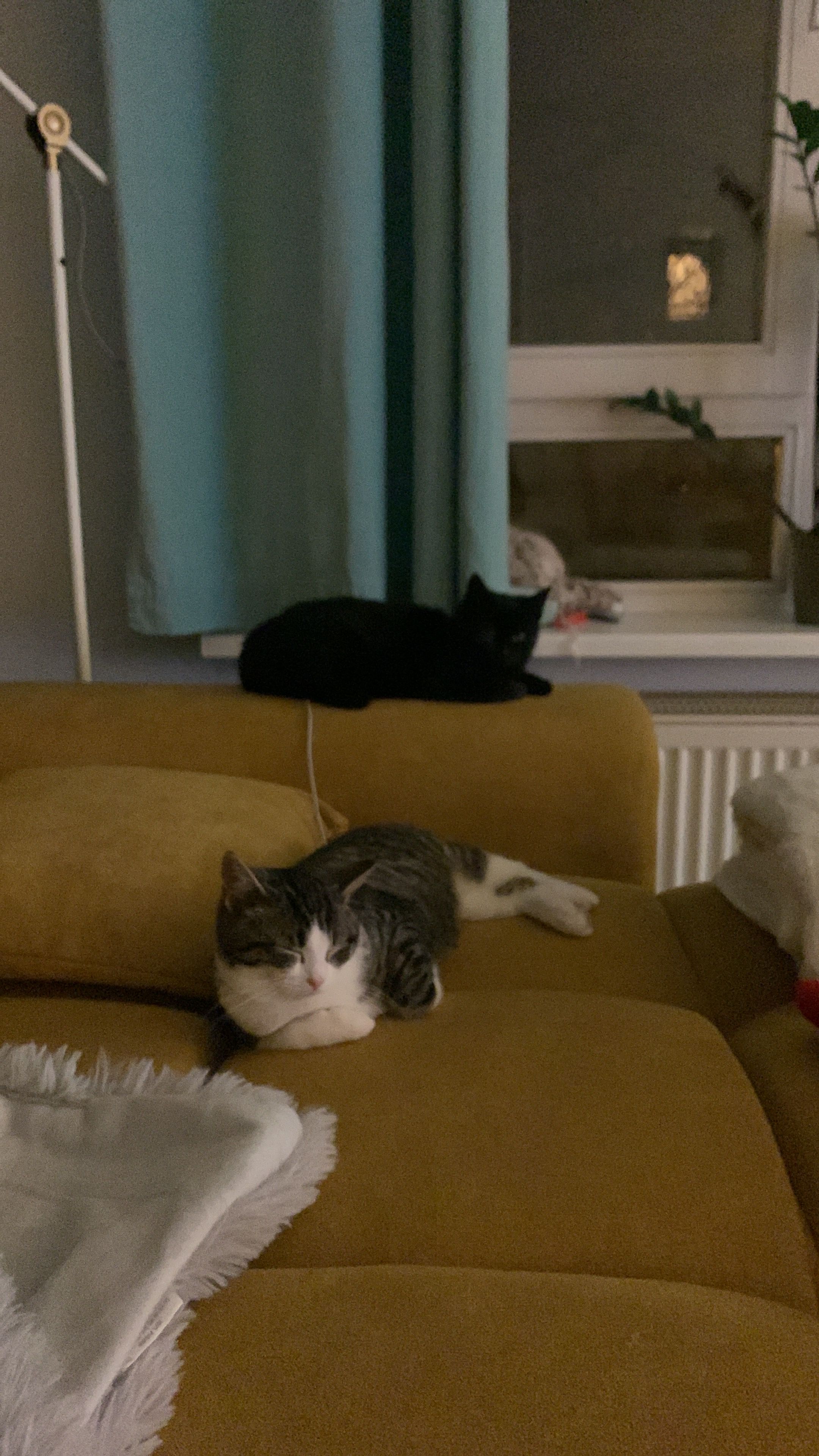 image-8