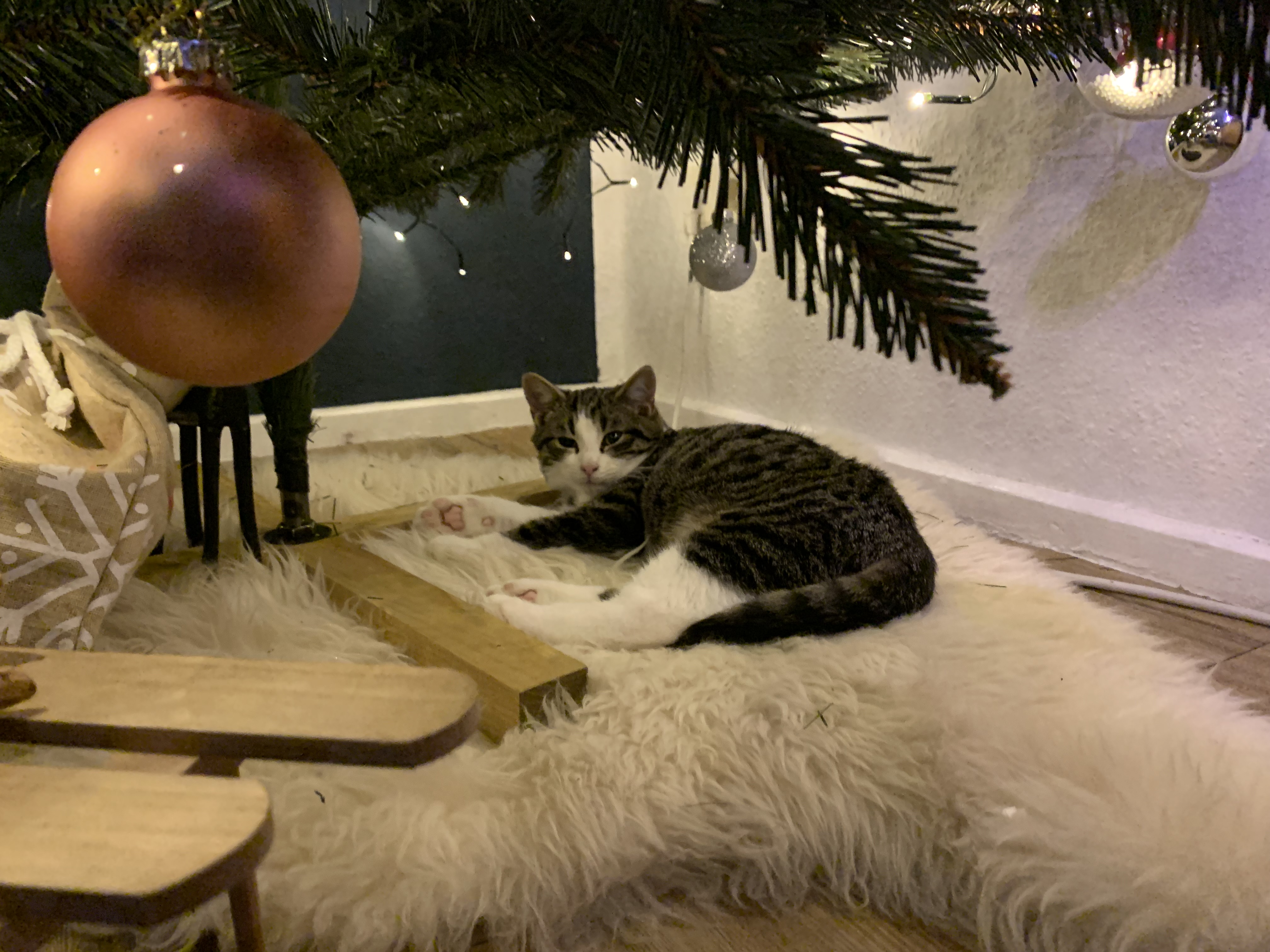 image-7