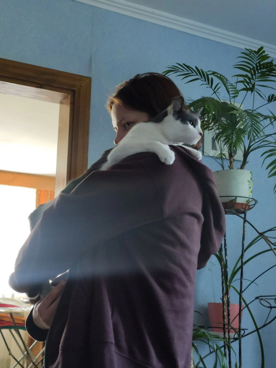image-10