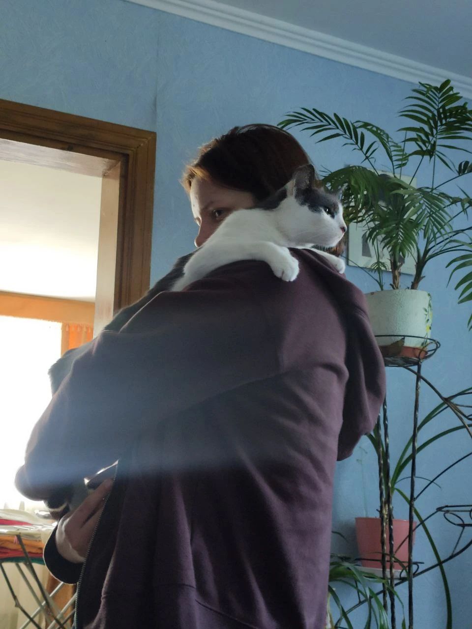 image-10