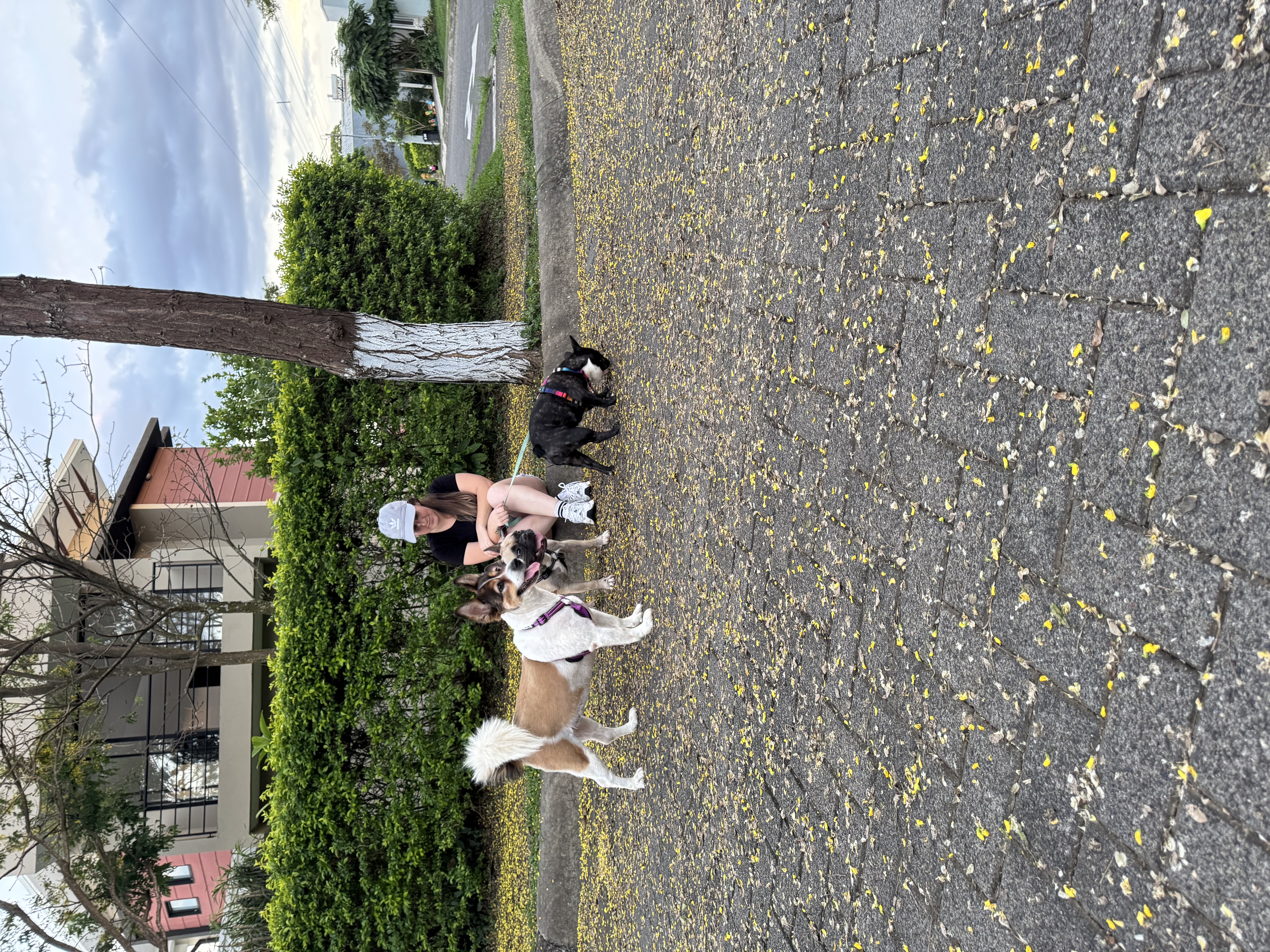image-6