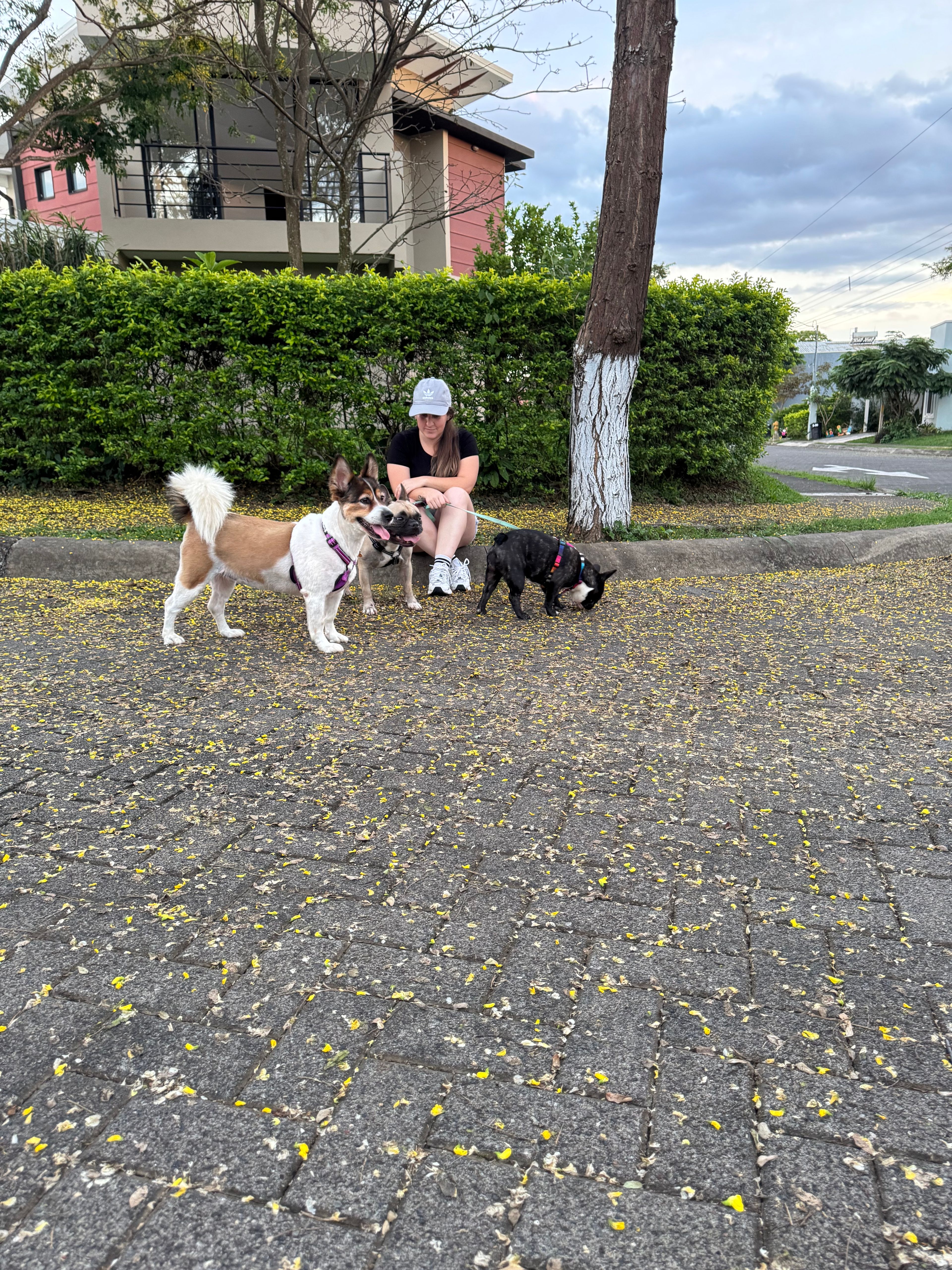 image-6