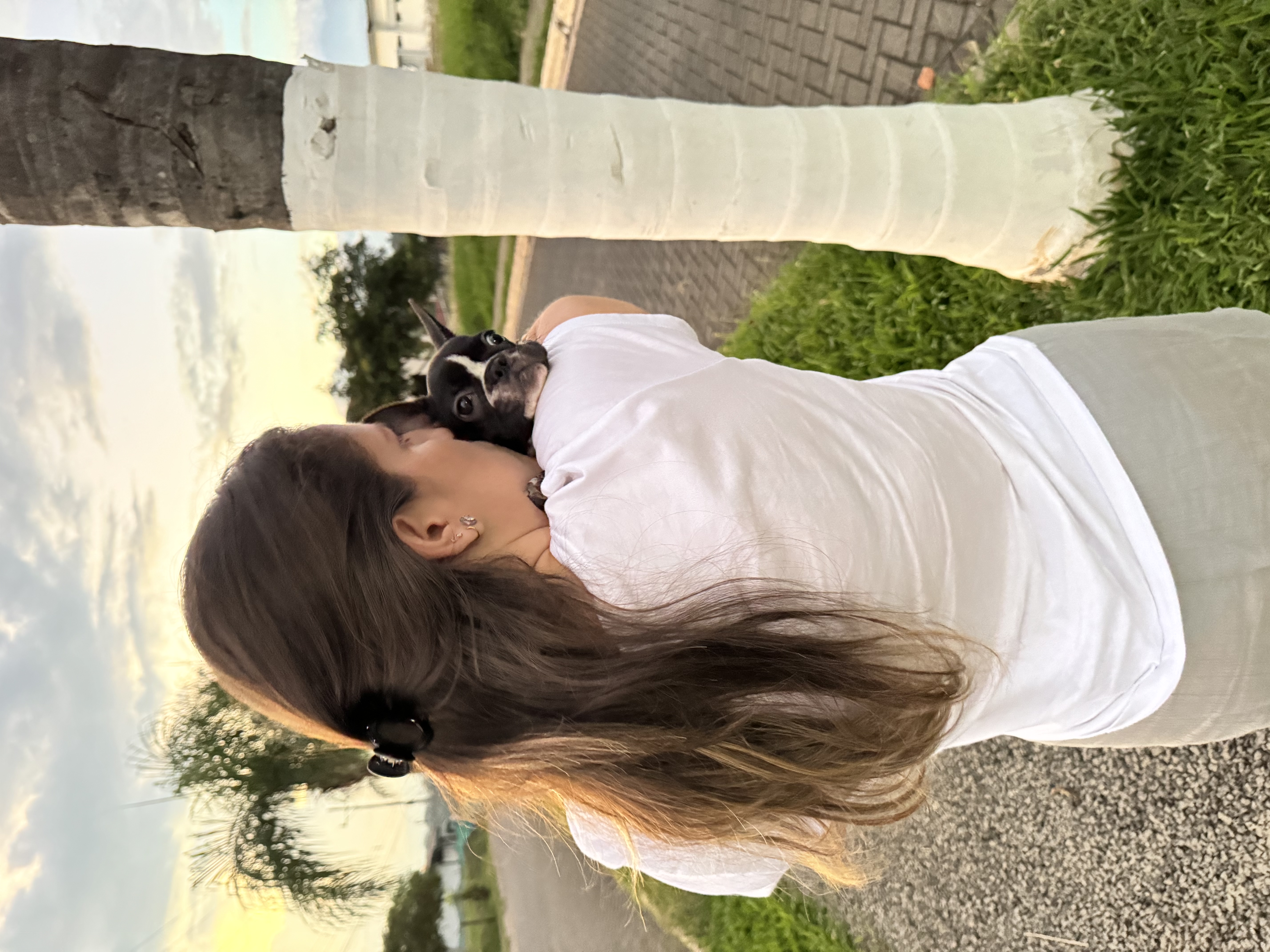image-15